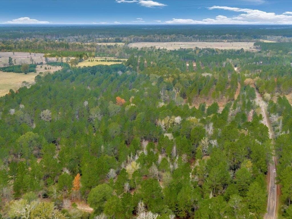 30 acres in Texas County - photo 2