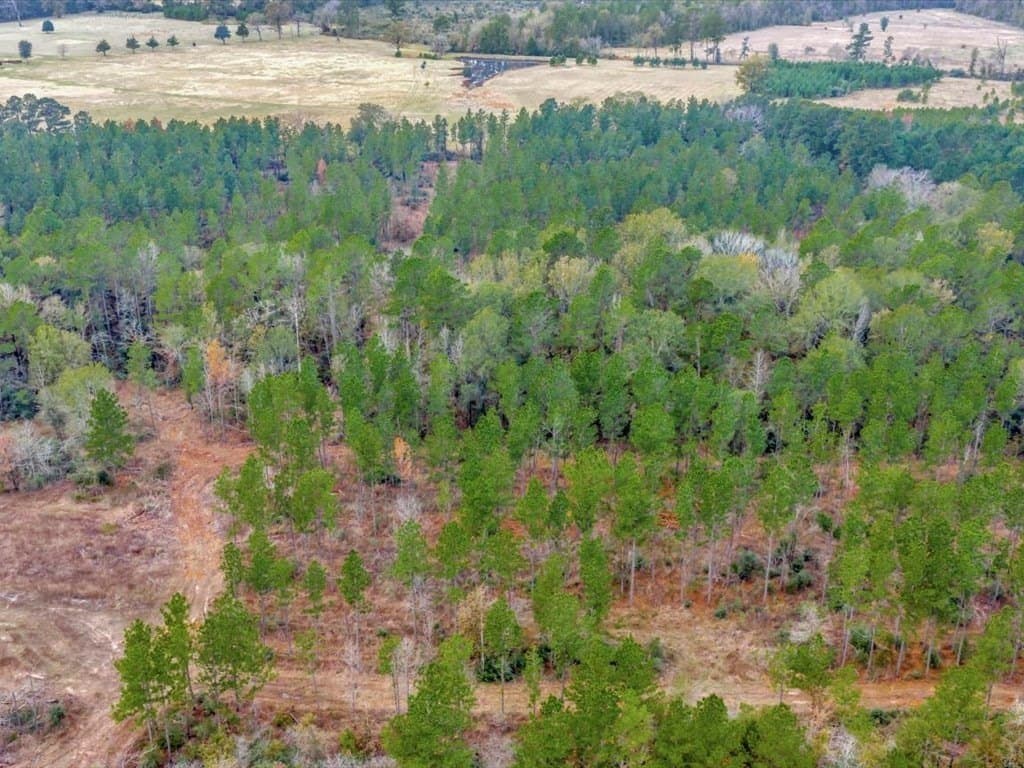 30 acres in Texas County - photo 23