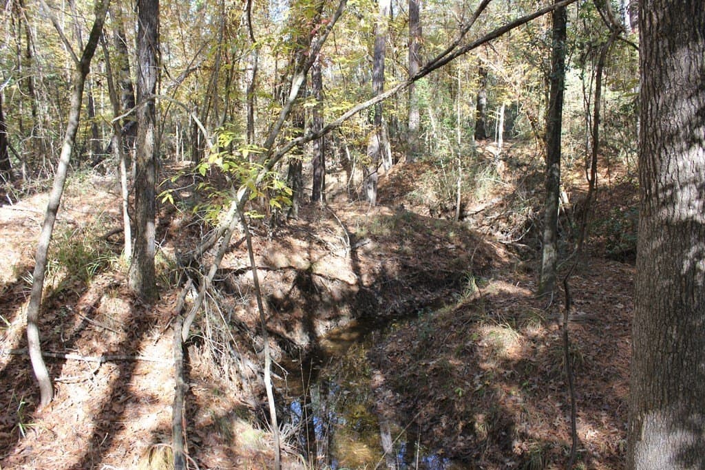 30 acres in Texas County - photo 17