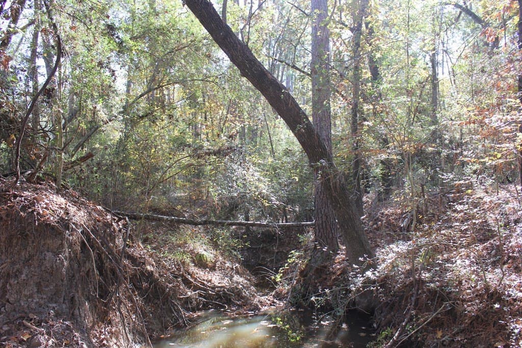30 acres in Texas County - photo 8