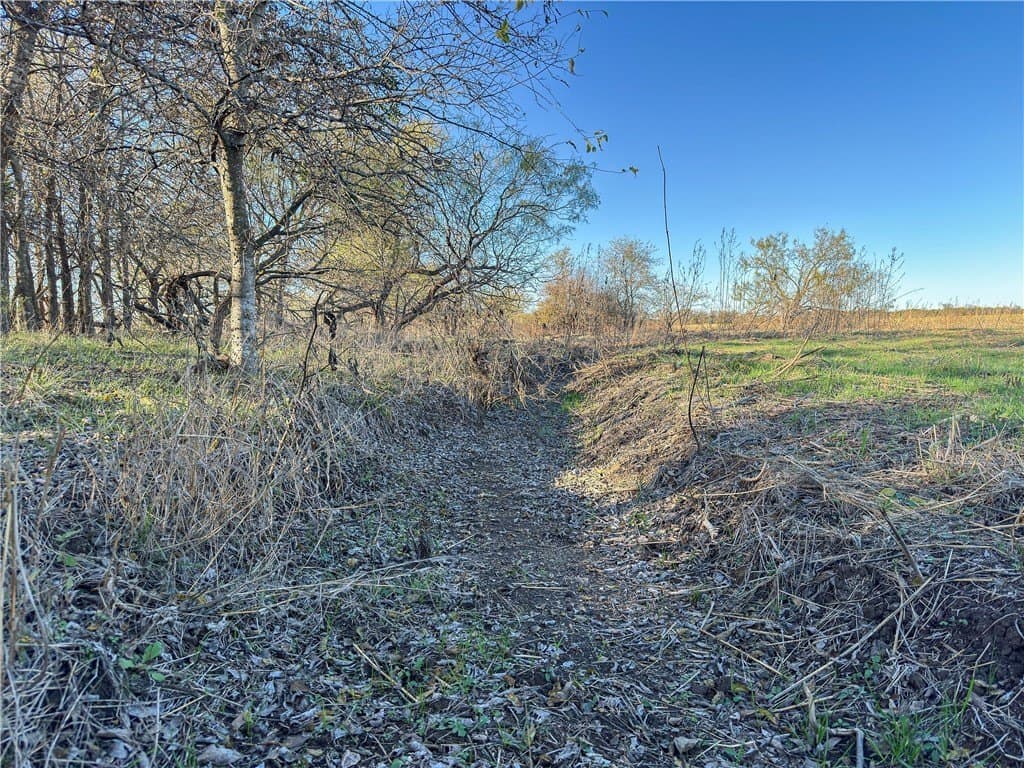 41 acres in McLennan County - photo 10
