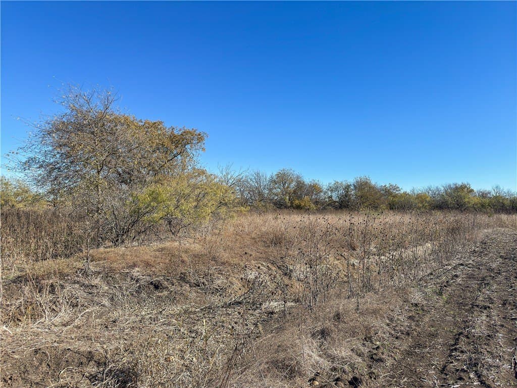 41 acres in McLennan County - photo 19