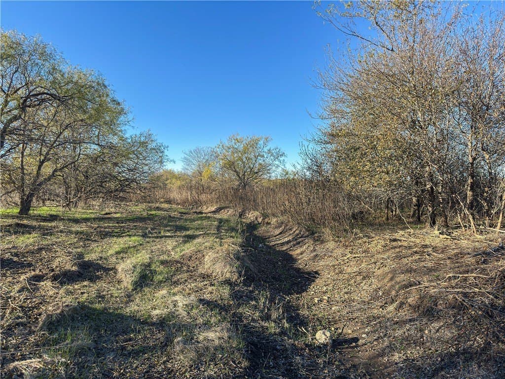 41 acres in McLennan County - photo 15