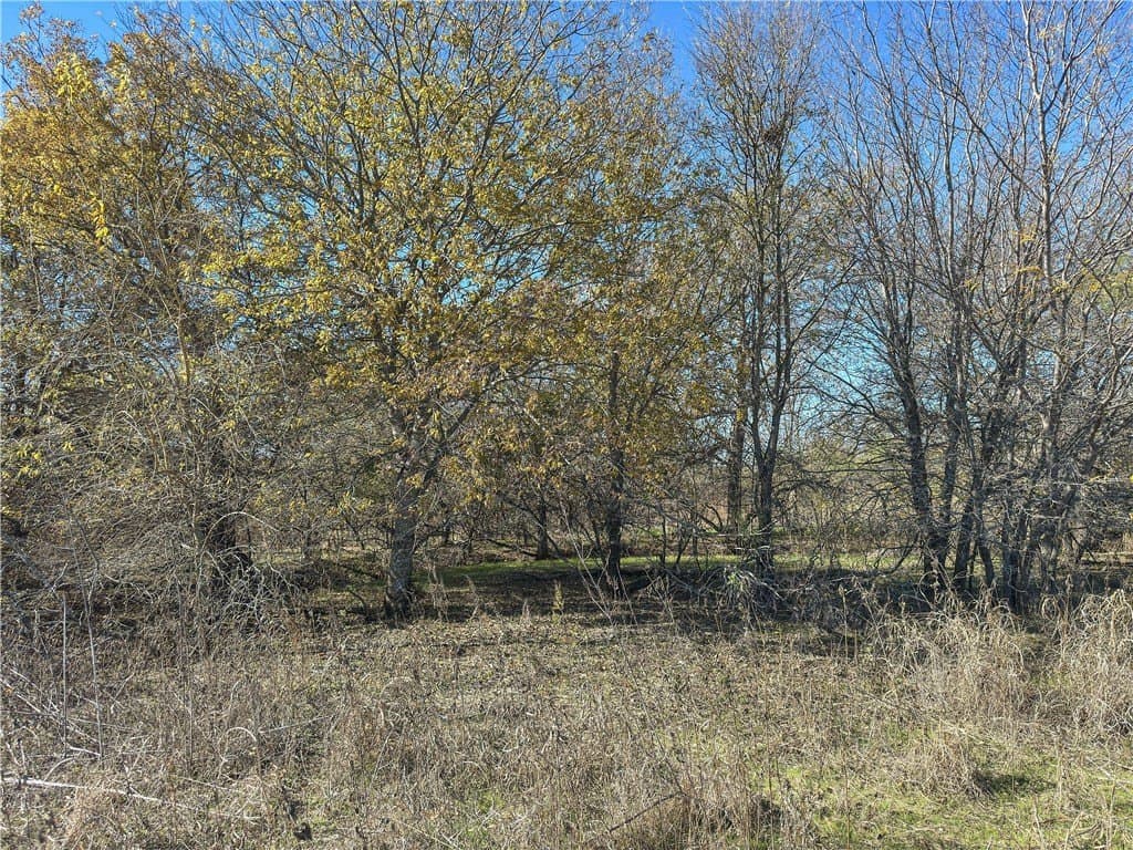41 acres in McLennan County - photo 21
