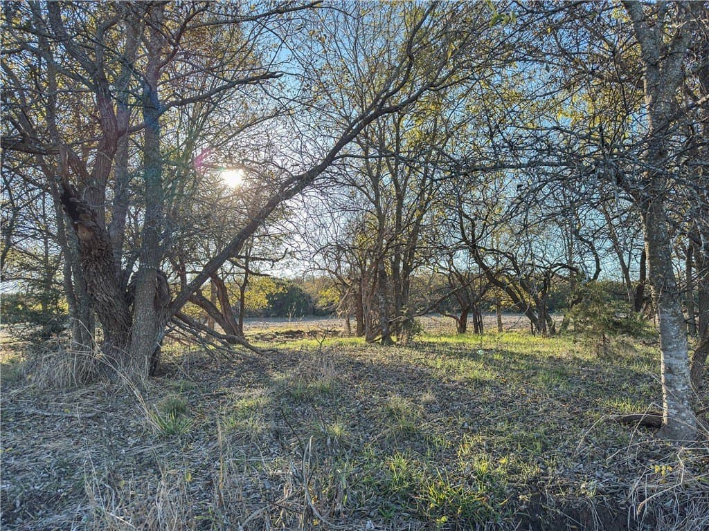 41 acres in McLennan County - photo 12
