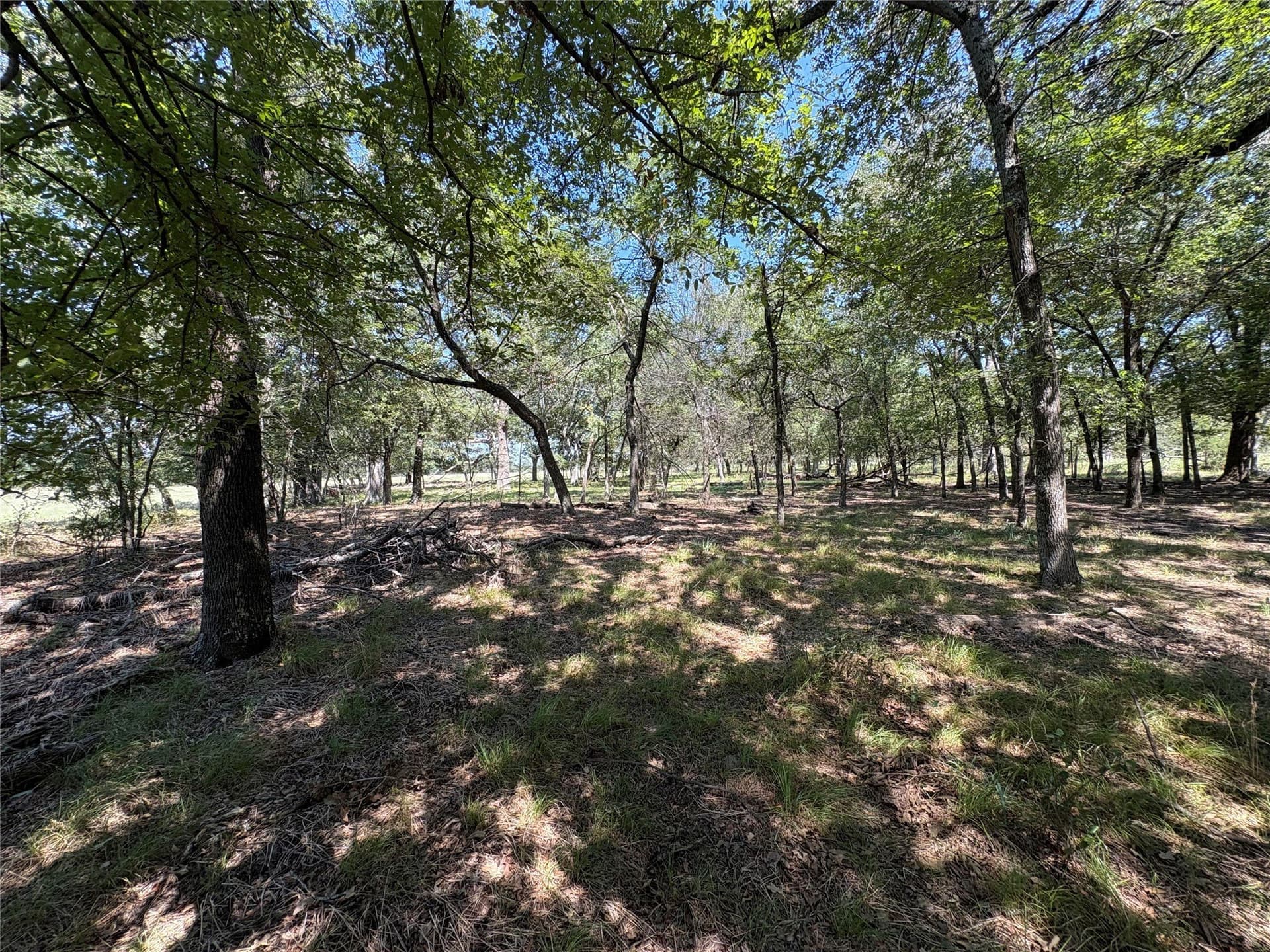 20.97 acres in Hopkins County - photo 6
