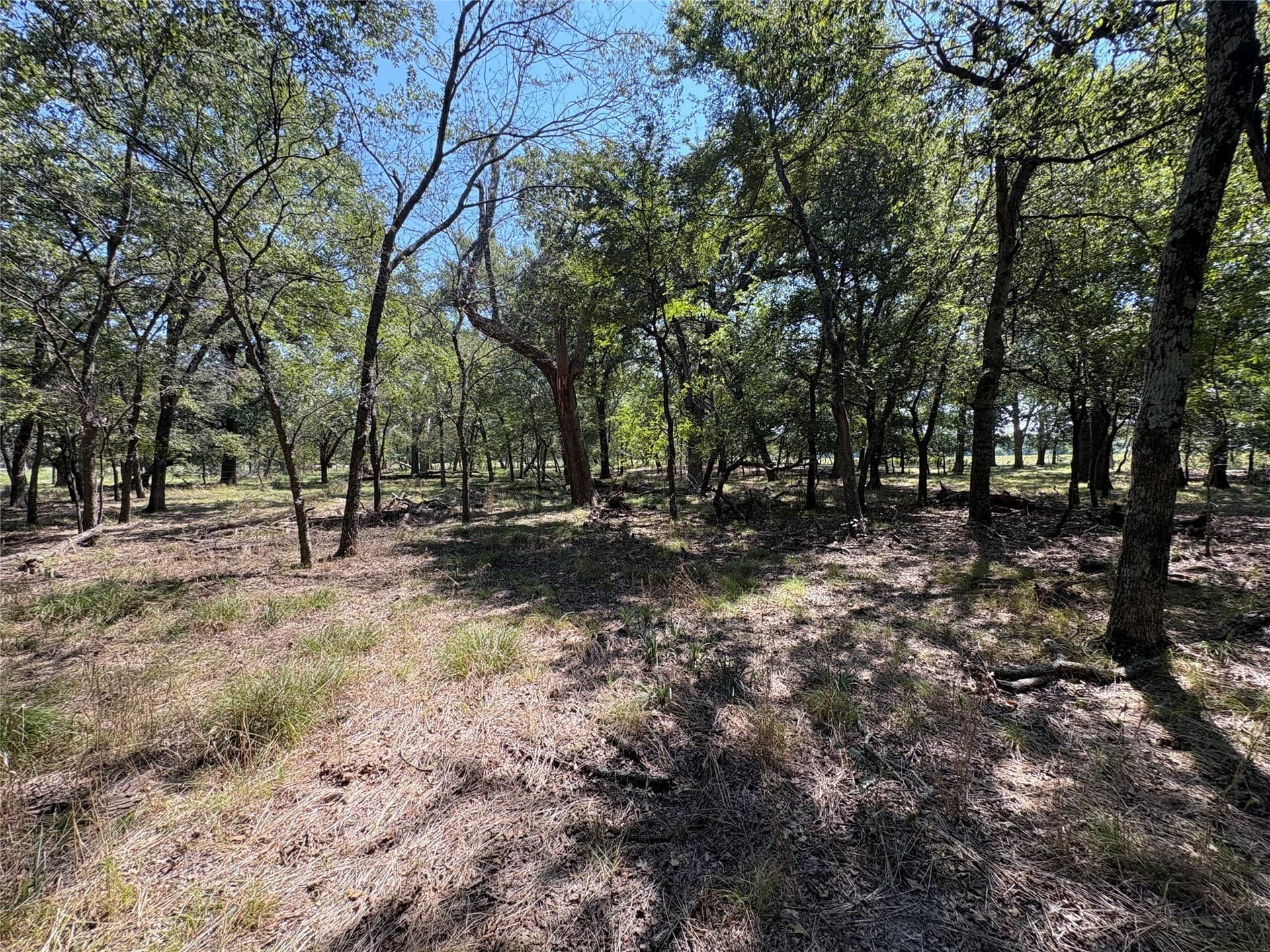 20.97 acres in Hopkins County featured view
