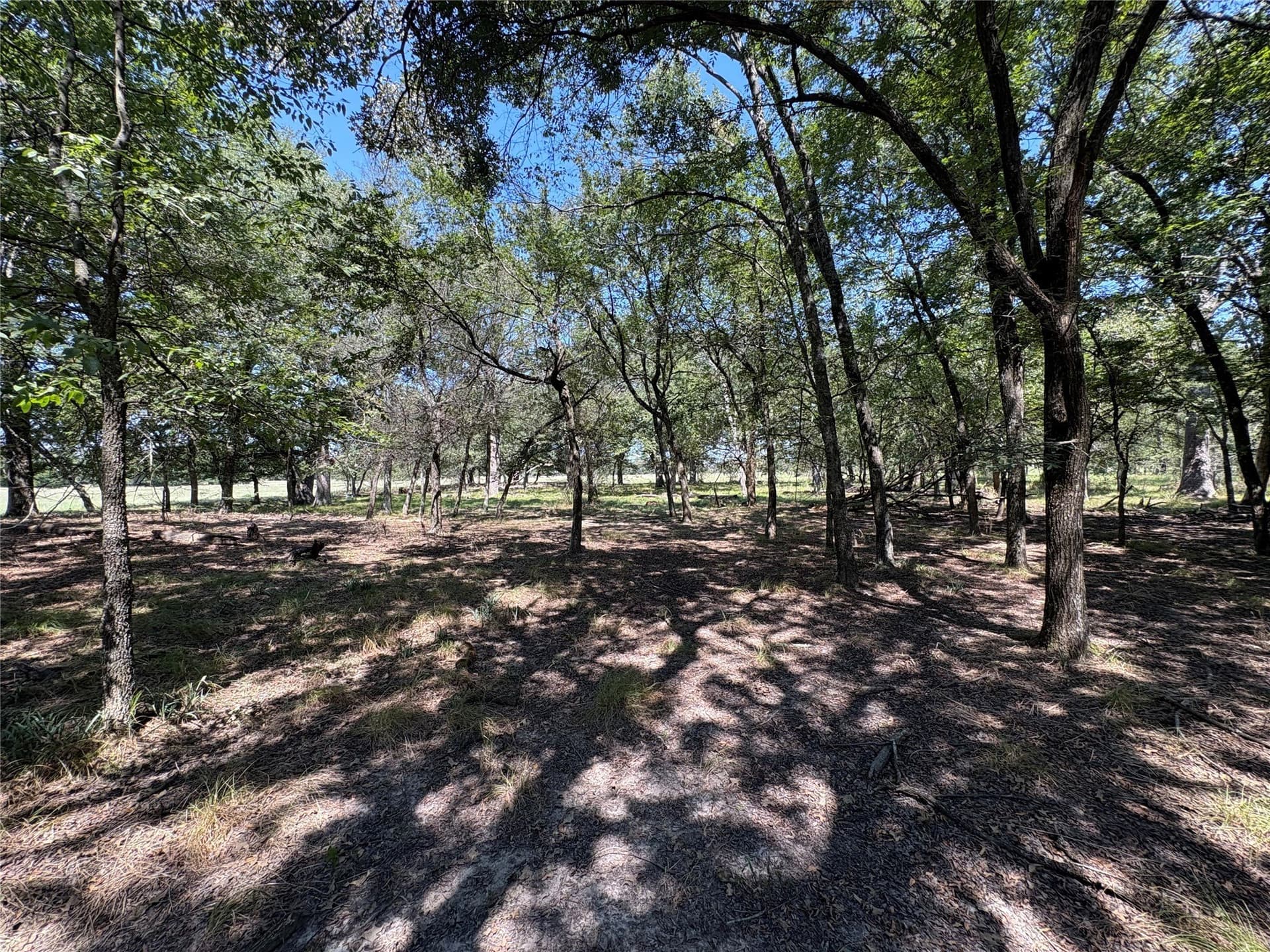 20.97 acres in Hopkins County gallery image 4