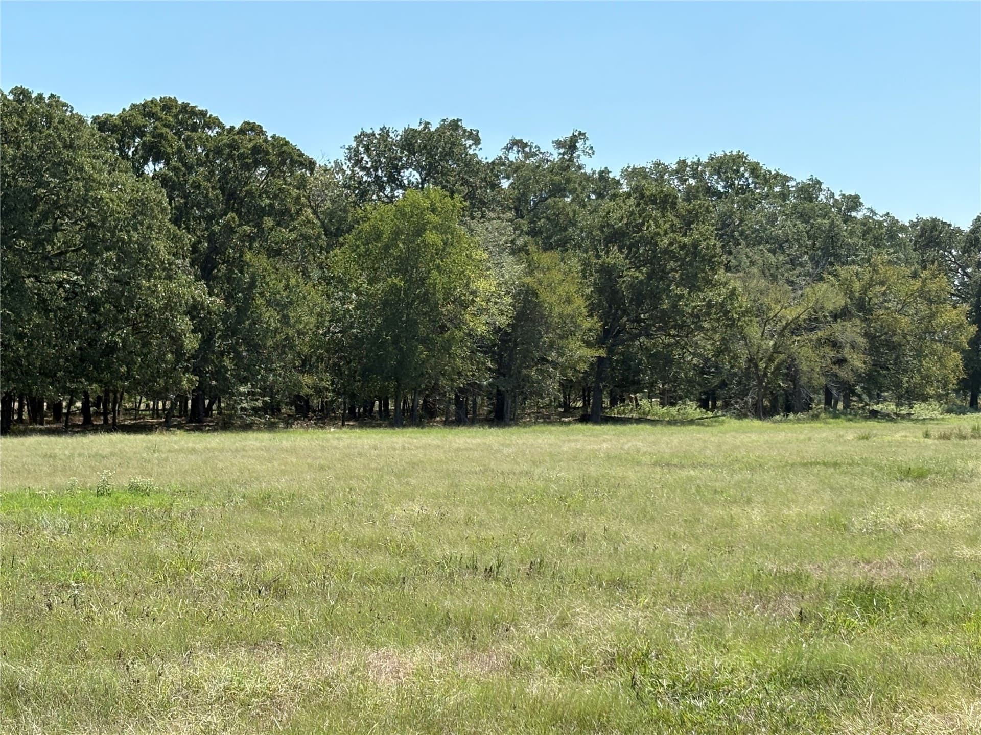 20.97 acres in Hopkins County gallery image 2
