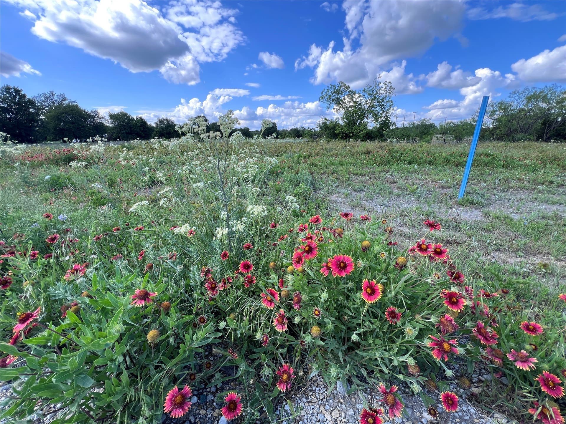 3.27 acres in Callahan County - photo 7