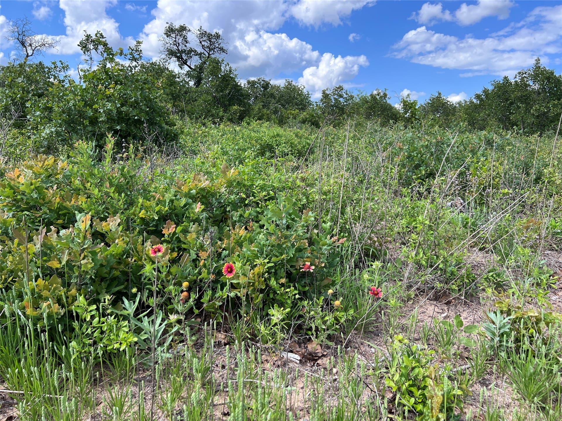 3.27 acres in Callahan County - photo 5