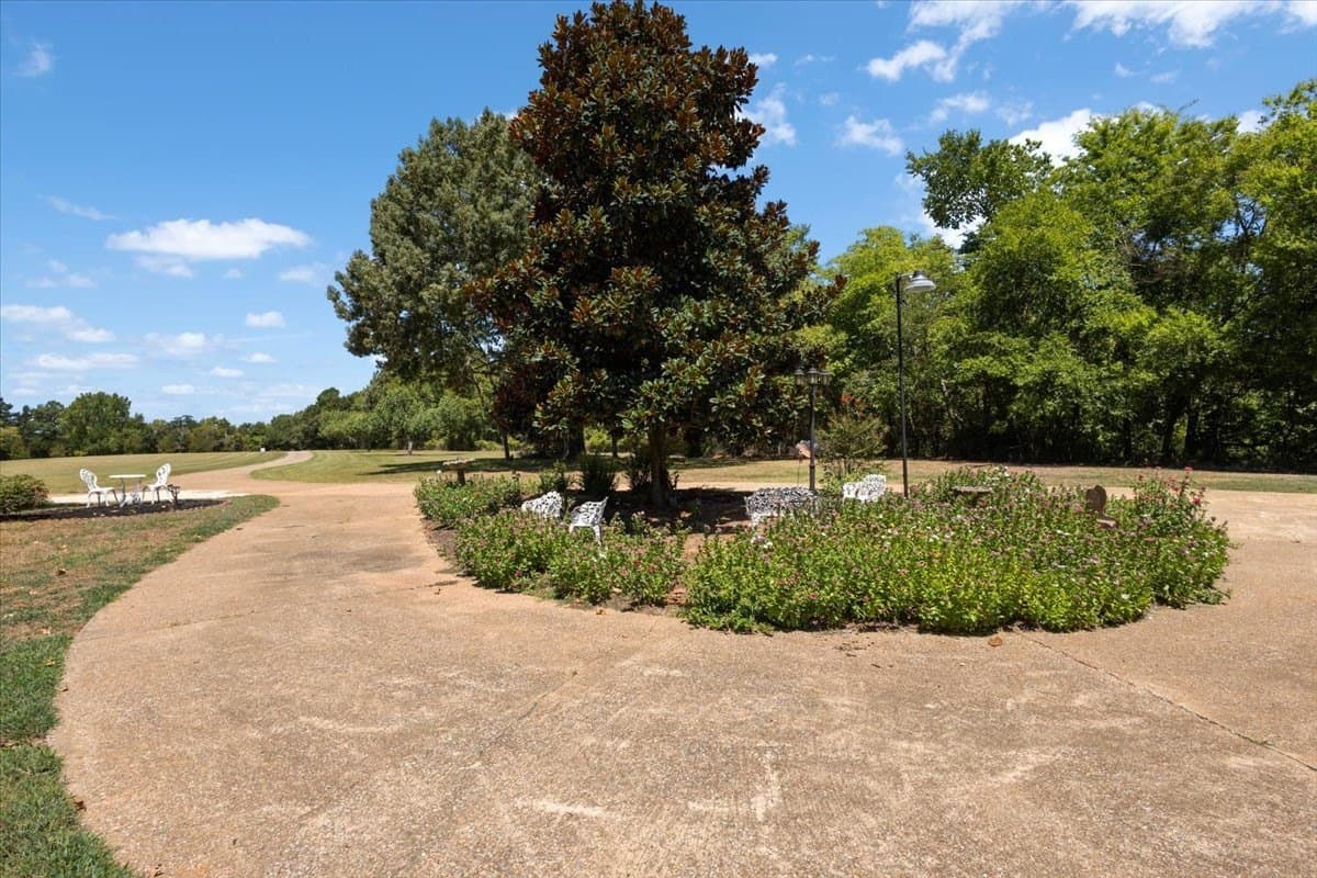 36.06 acres in Cherokee County - photo 5