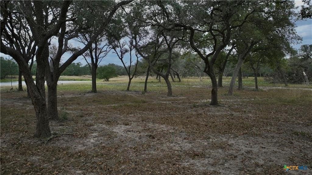 12.81 acres in Texas County - photo 10