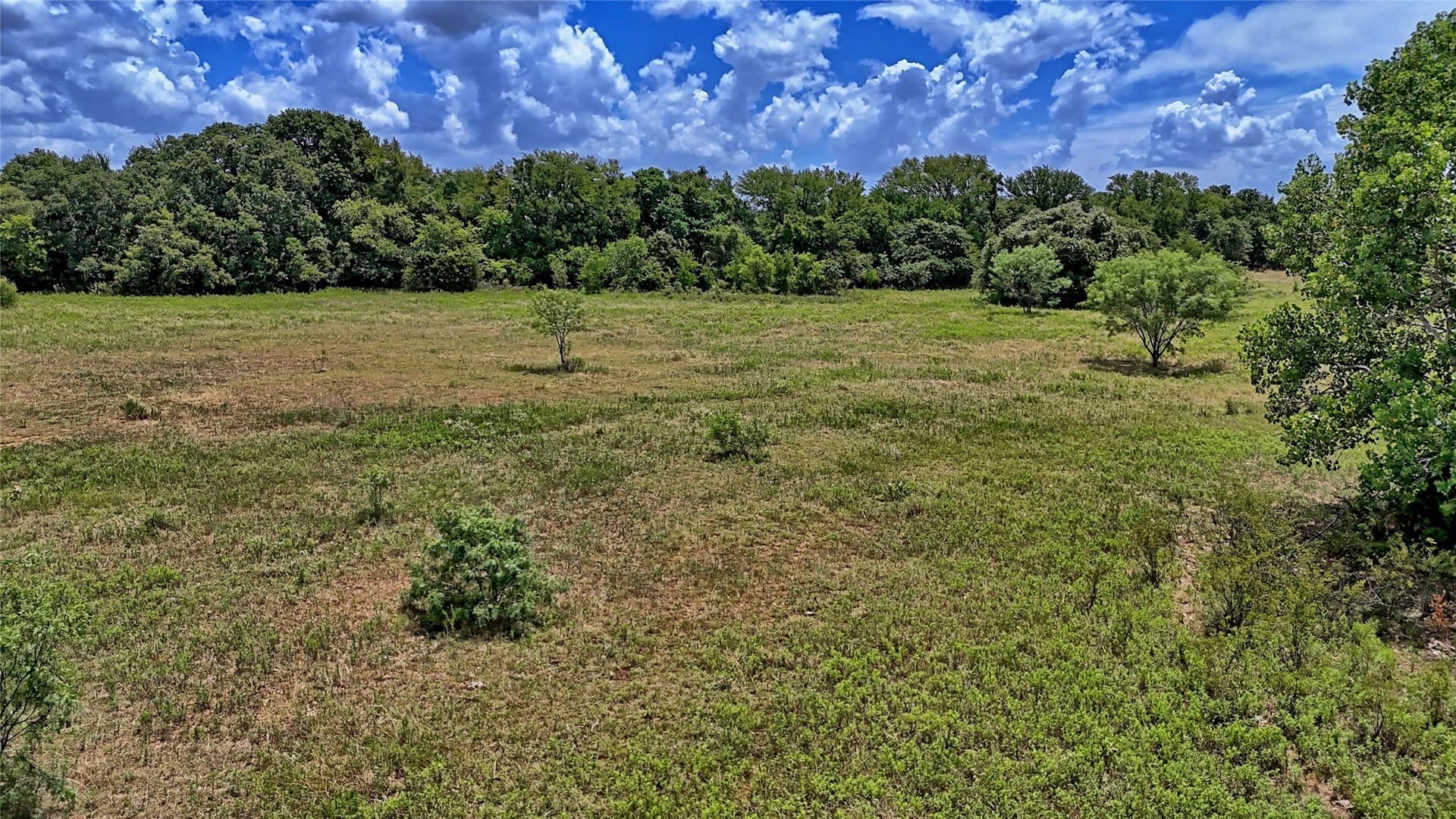 59.84 acres in Wise County - photo 32