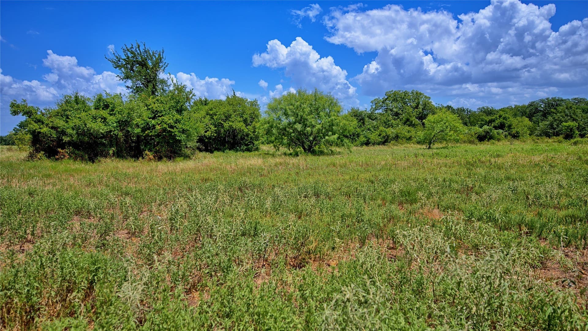 59.84 acres in Wise County - photo 6