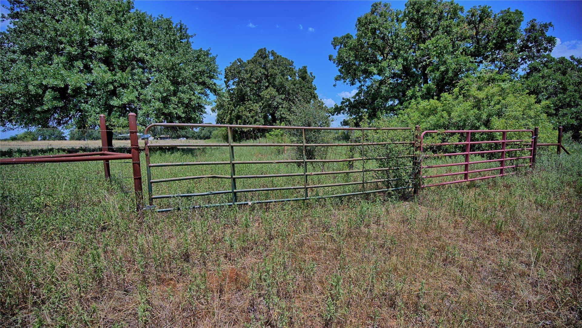 59.84 acres in Wise County - photo 30