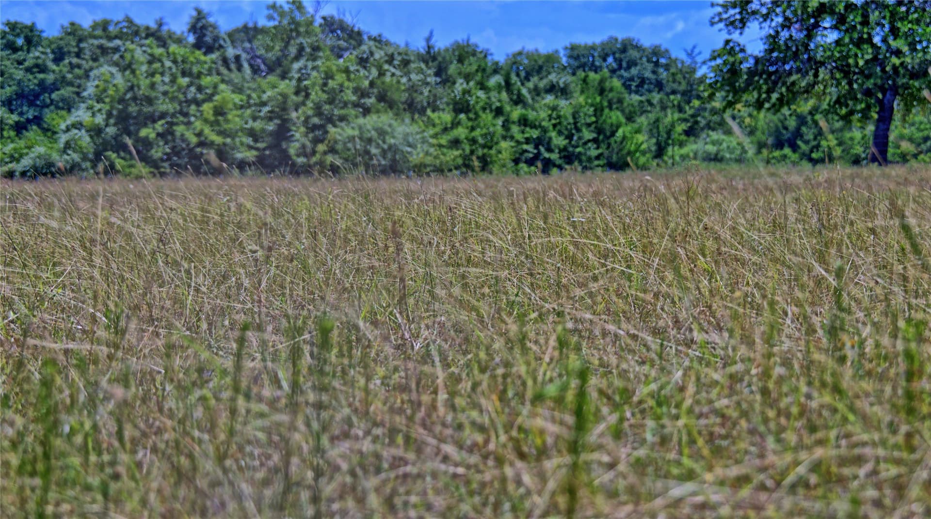 59.84 acres in Wise County - photo 23