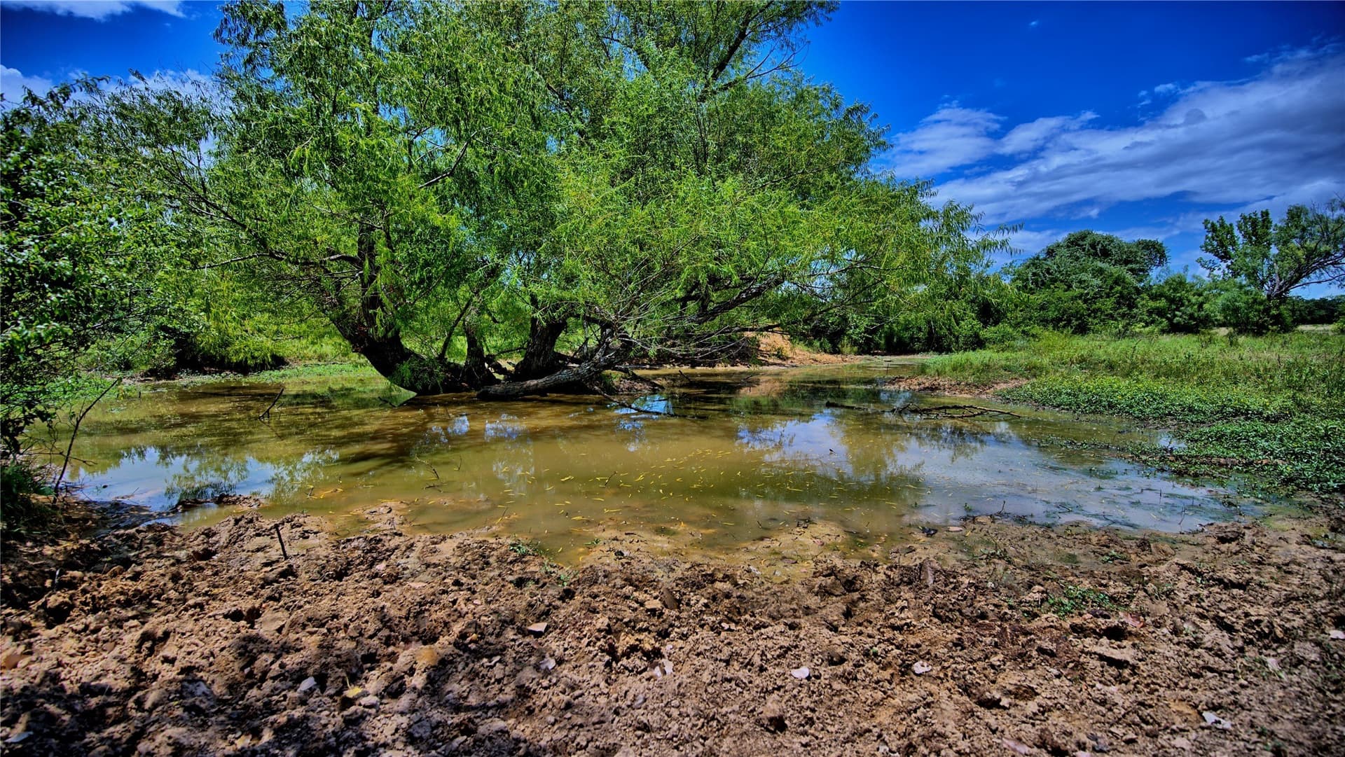 59.84 acres in Wise County - photo 22