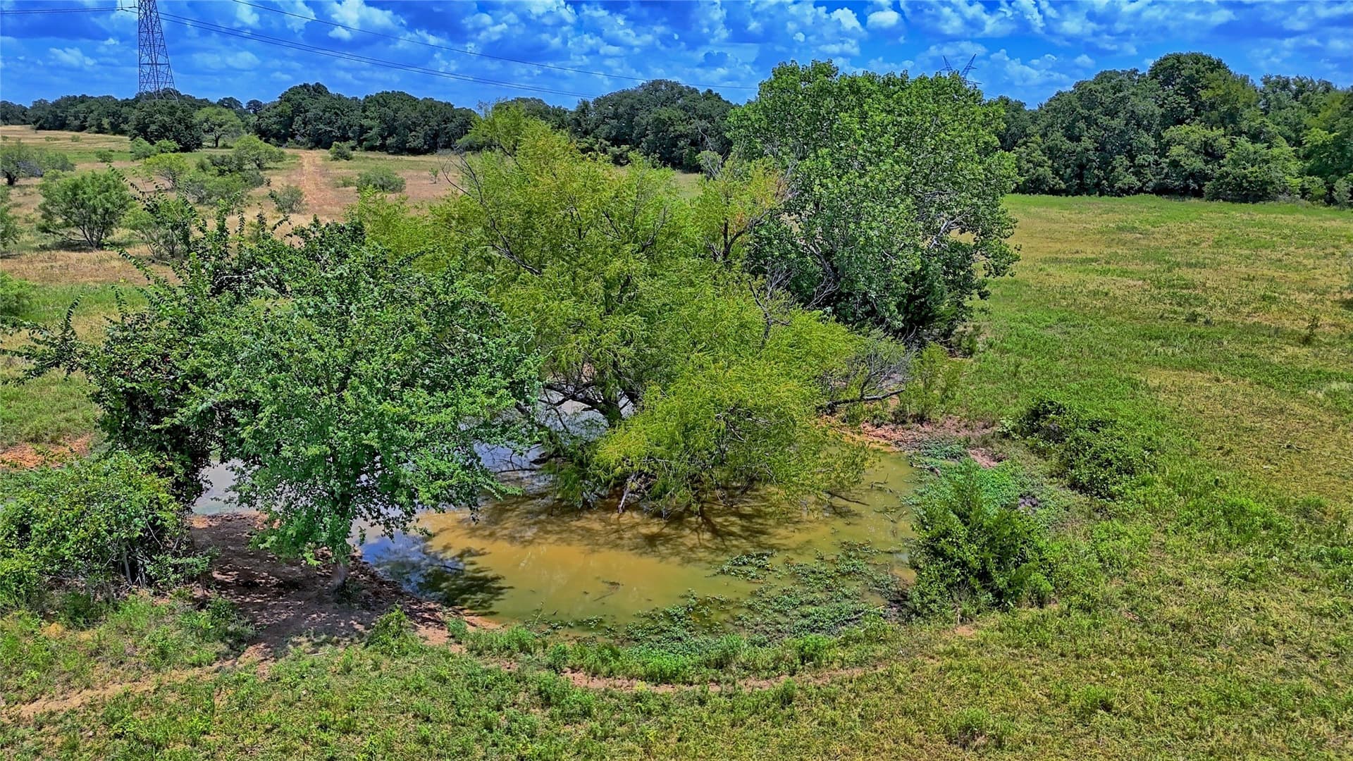 59.84 acres in Wise County - photo 19