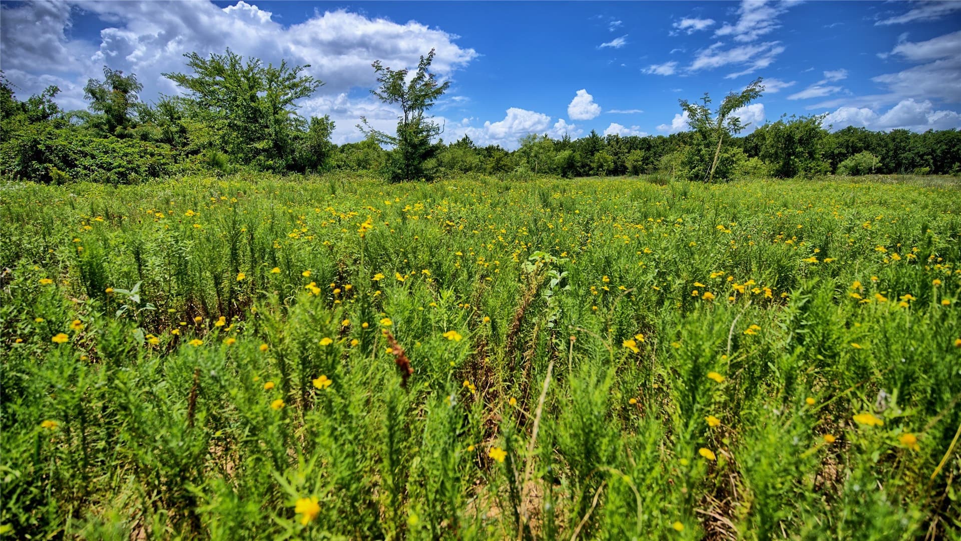 59.84 acres in Wise County - photo 24