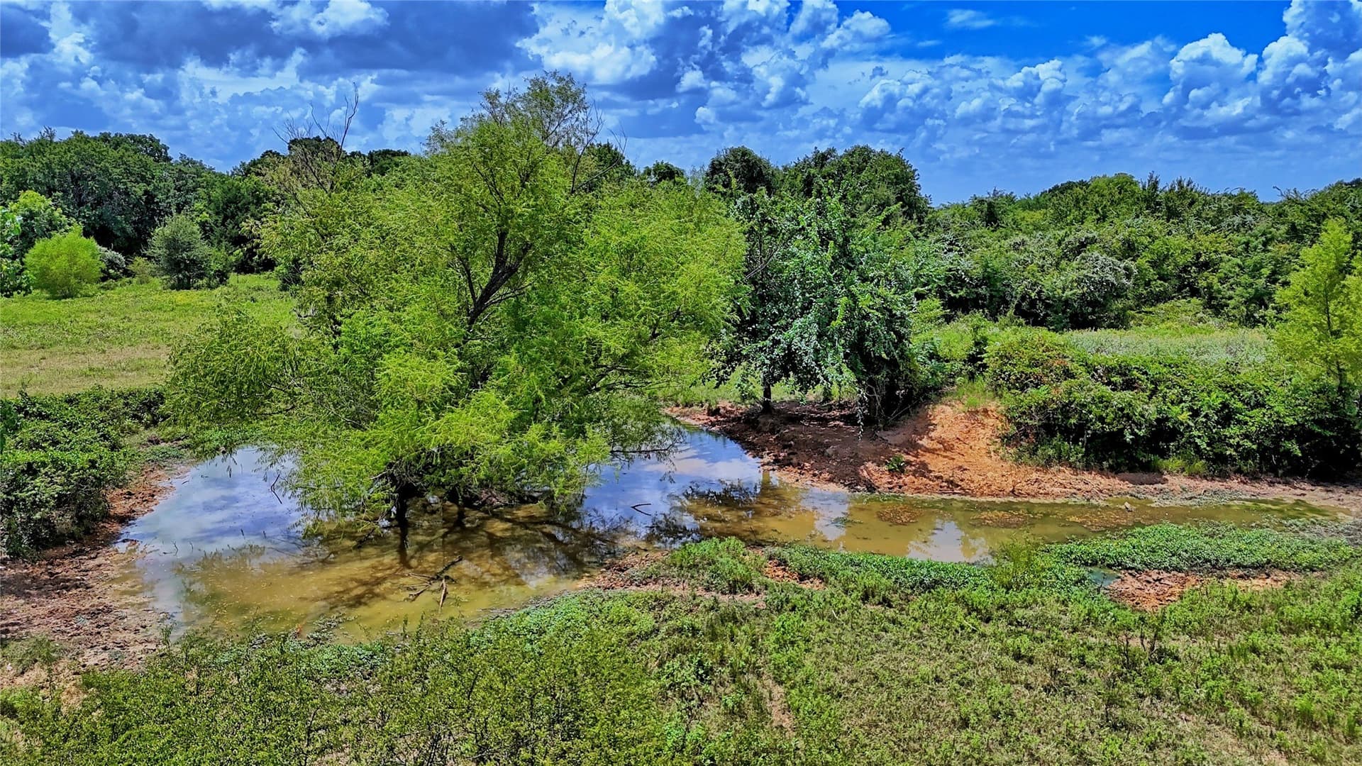 59.84 acres in Wise County - photo 21