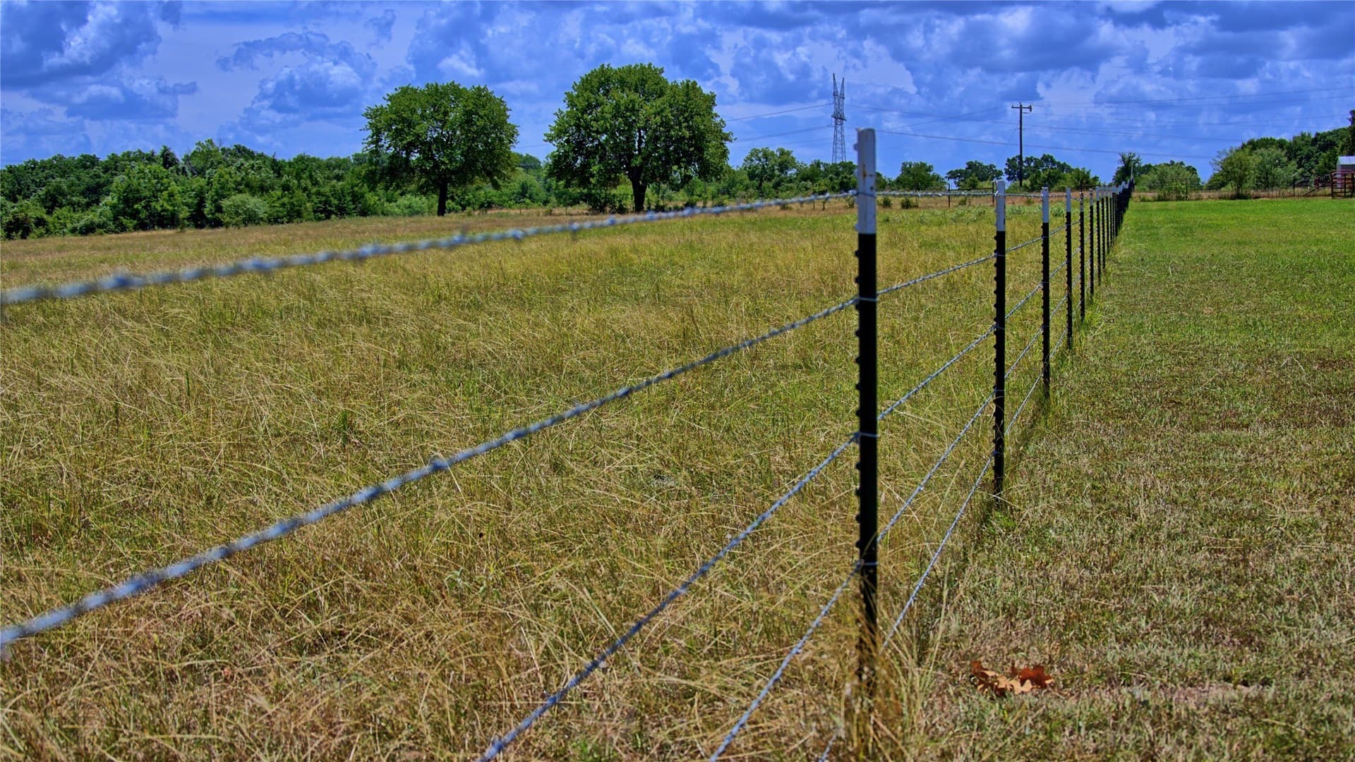59.84 acres in Wise County - photo 11