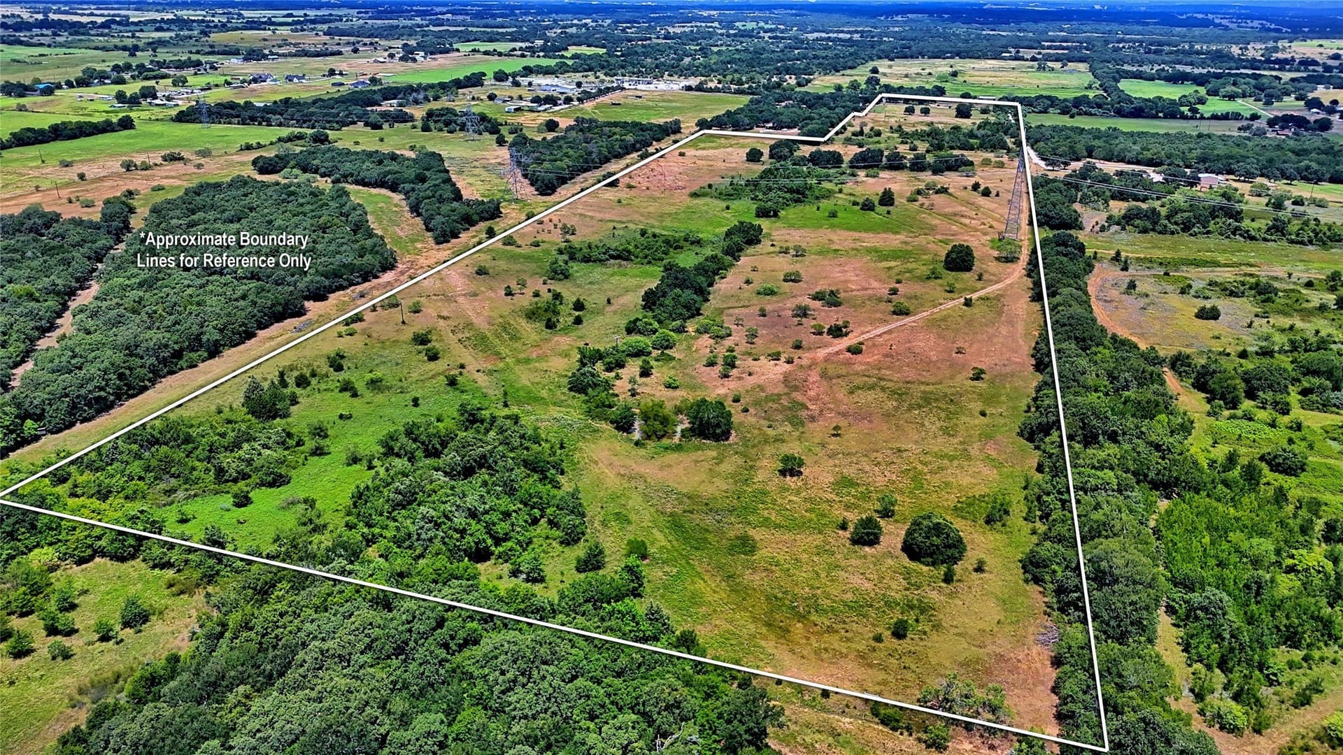 59.84 acres in Wise County gallery image 4