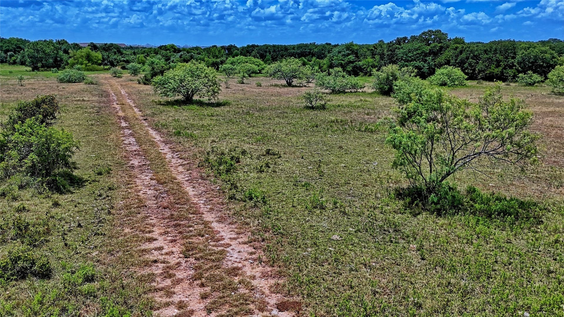 59.84 acres in Wise County - photo 26