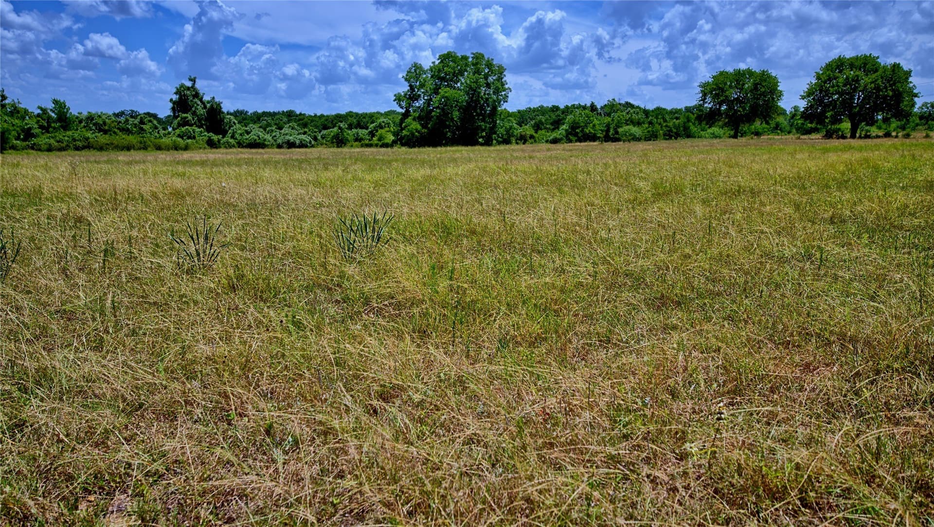59.84 acres in Wise County - photo 9