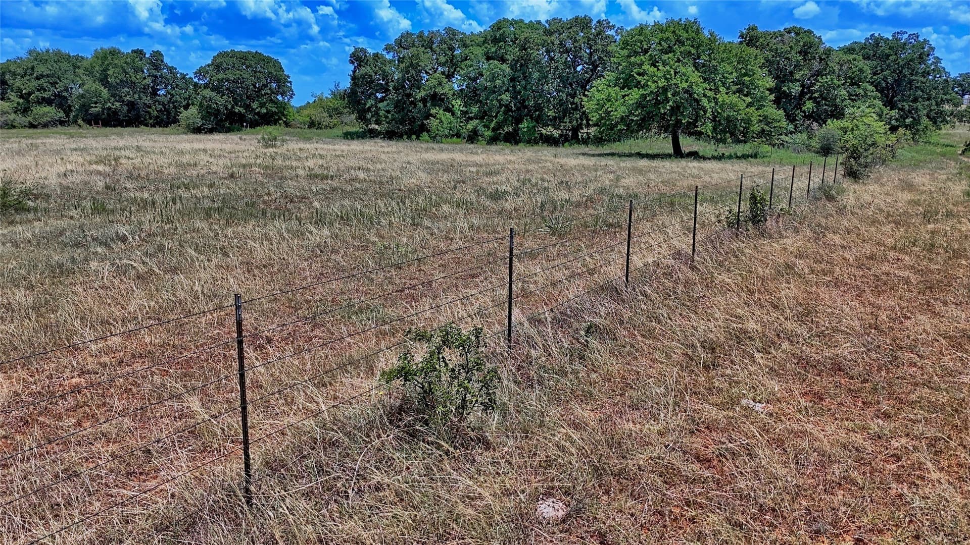 59.84 acres in Wise County - photo 15
