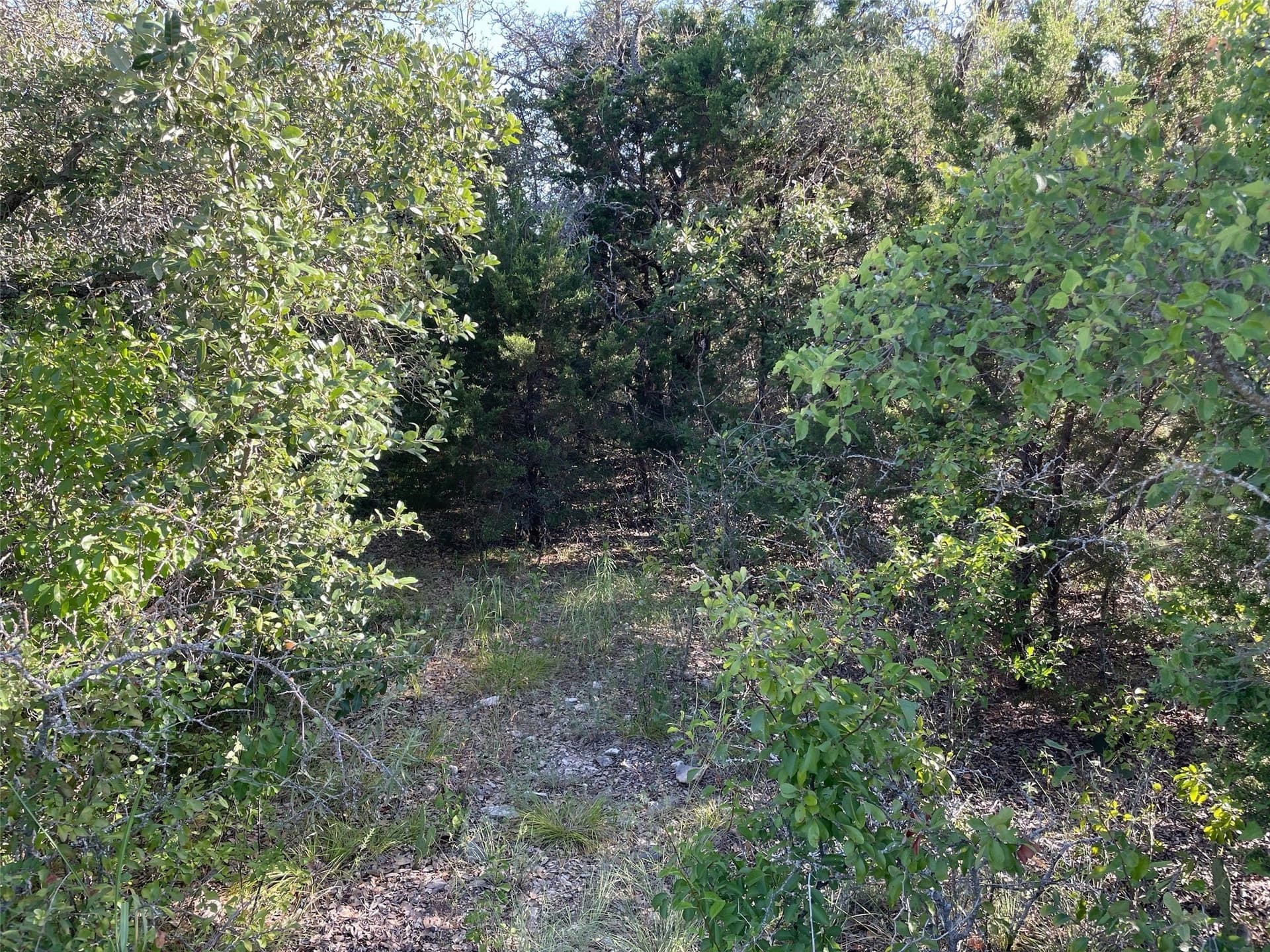 0.82 acres in Eastland County featured view