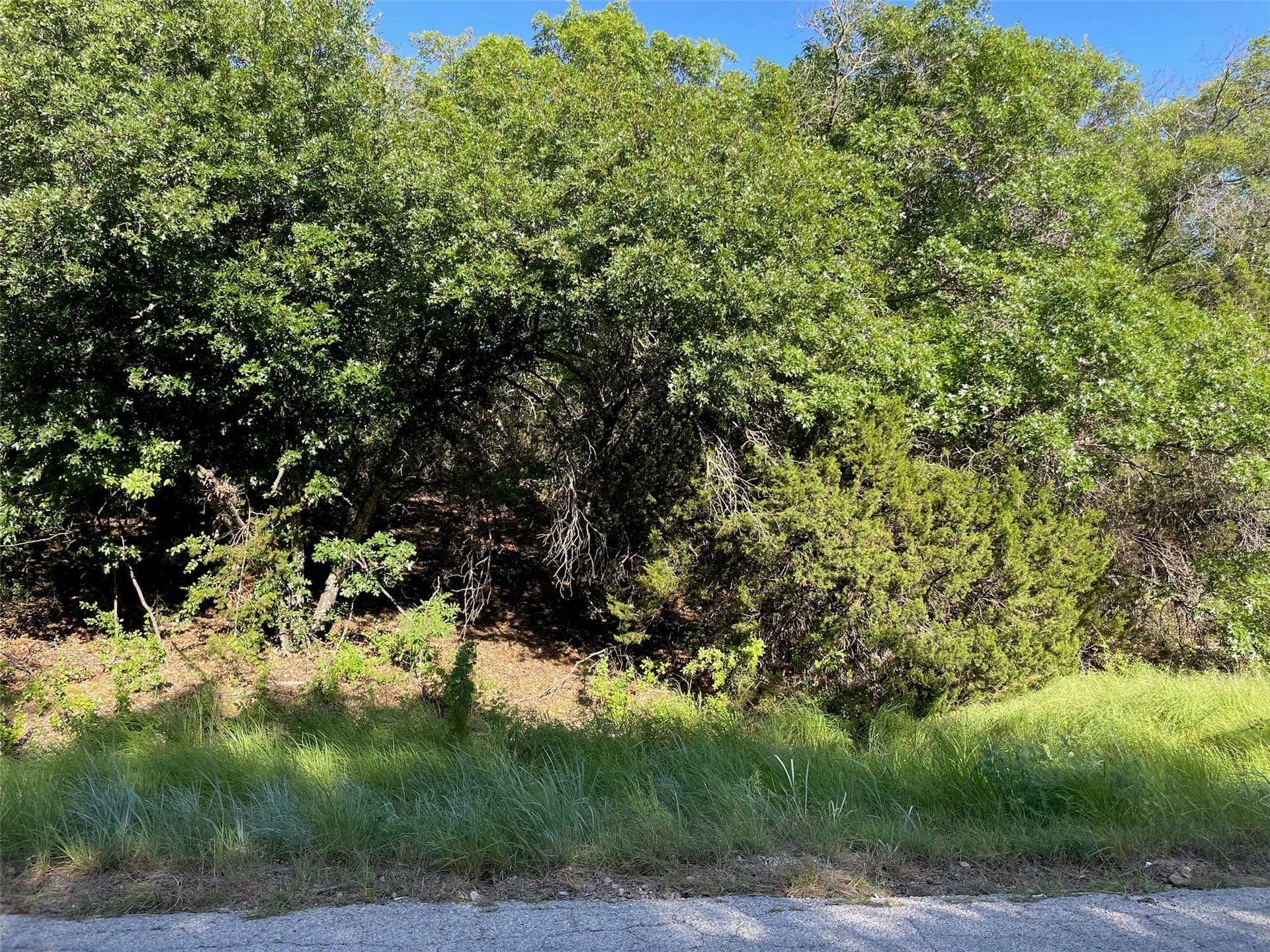 0.82 acres in Eastland County gallery image 2