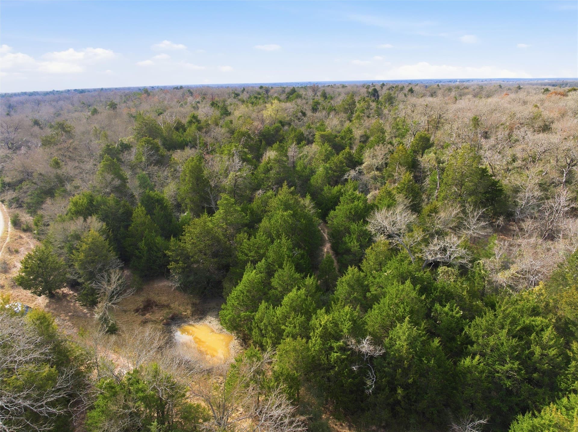 30.19 acres in Limestone County - photo 17