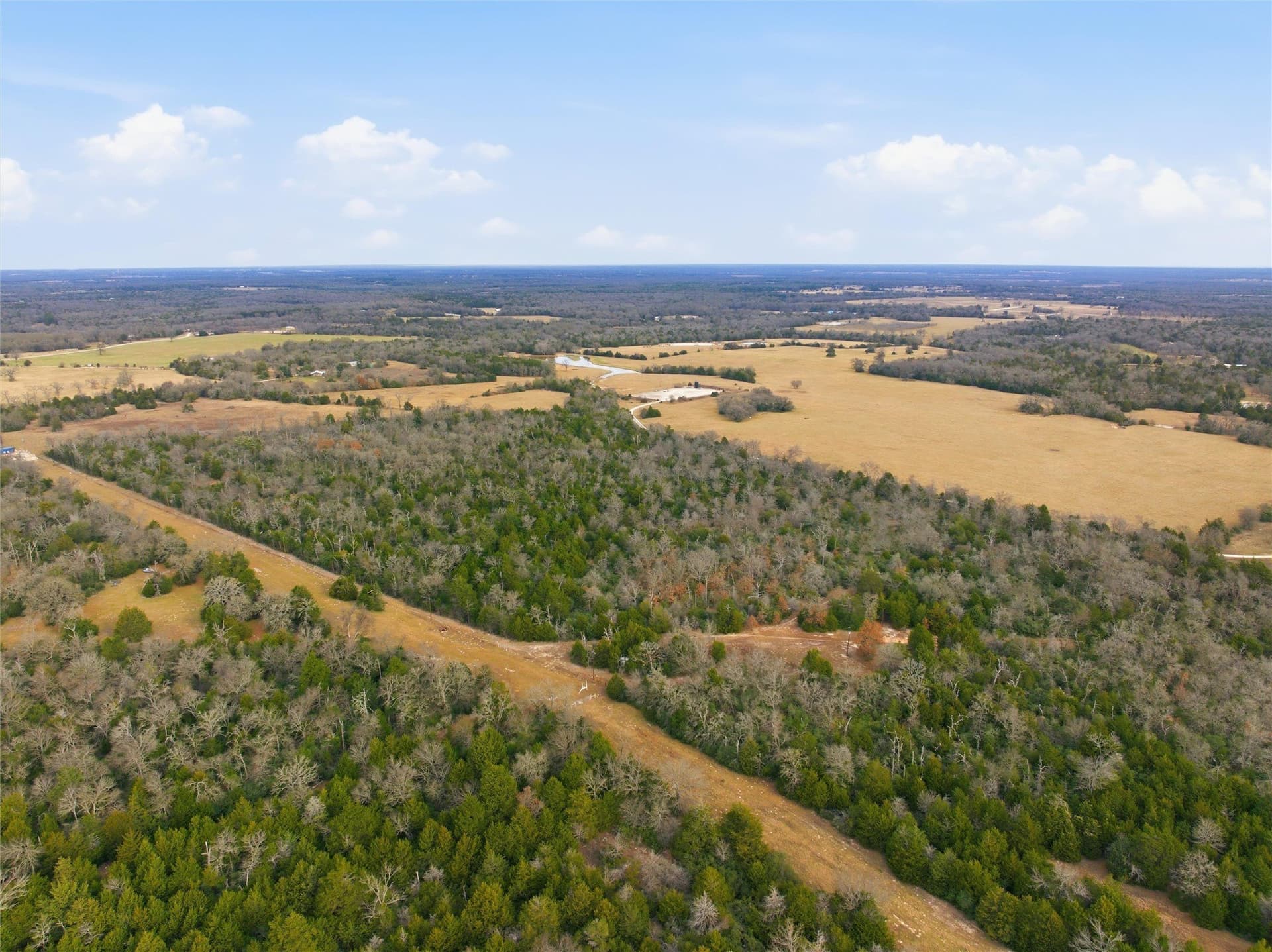 30.19 acres in Limestone County - photo 8