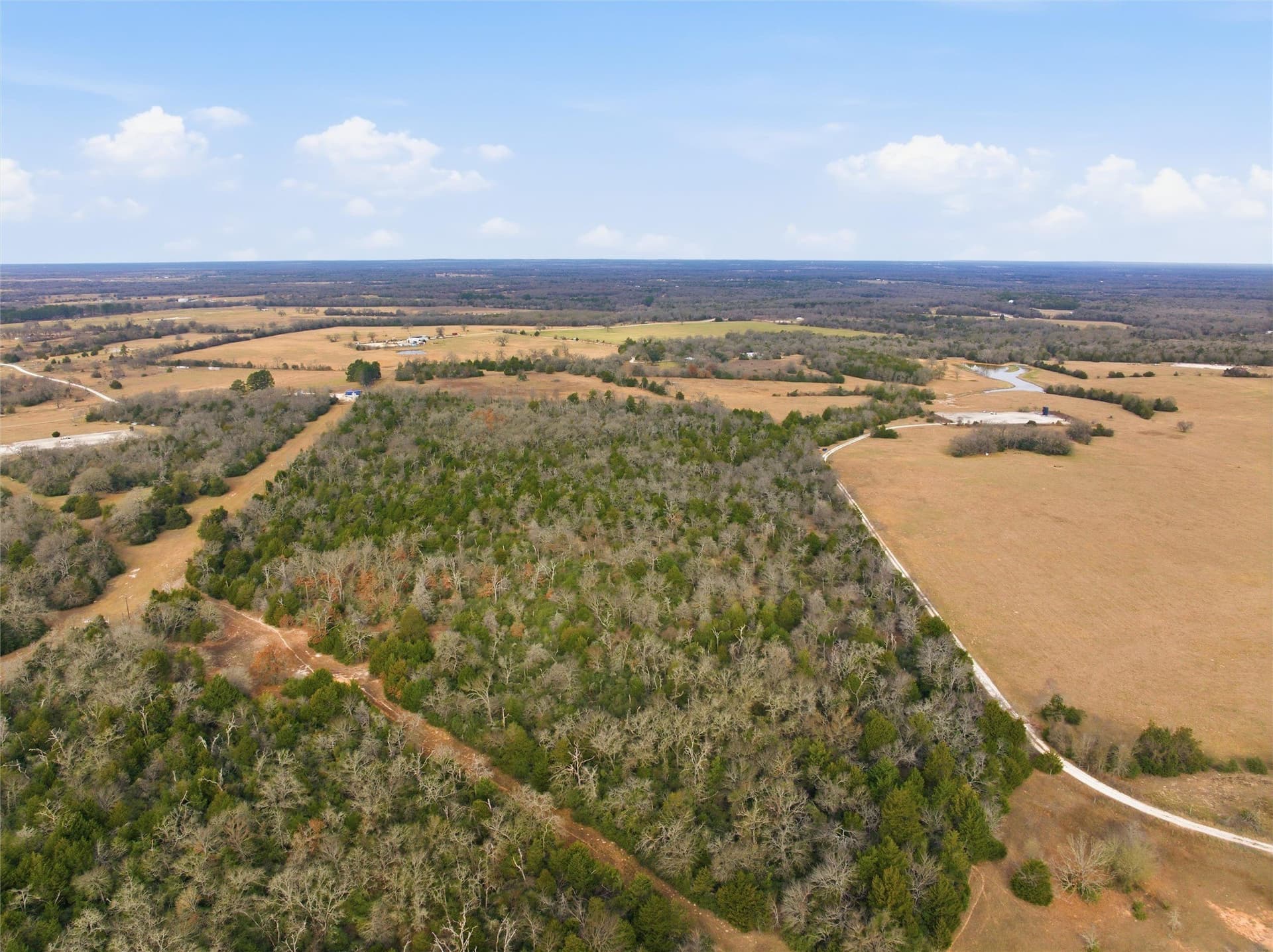 30.19 acres in Limestone County - photo 9