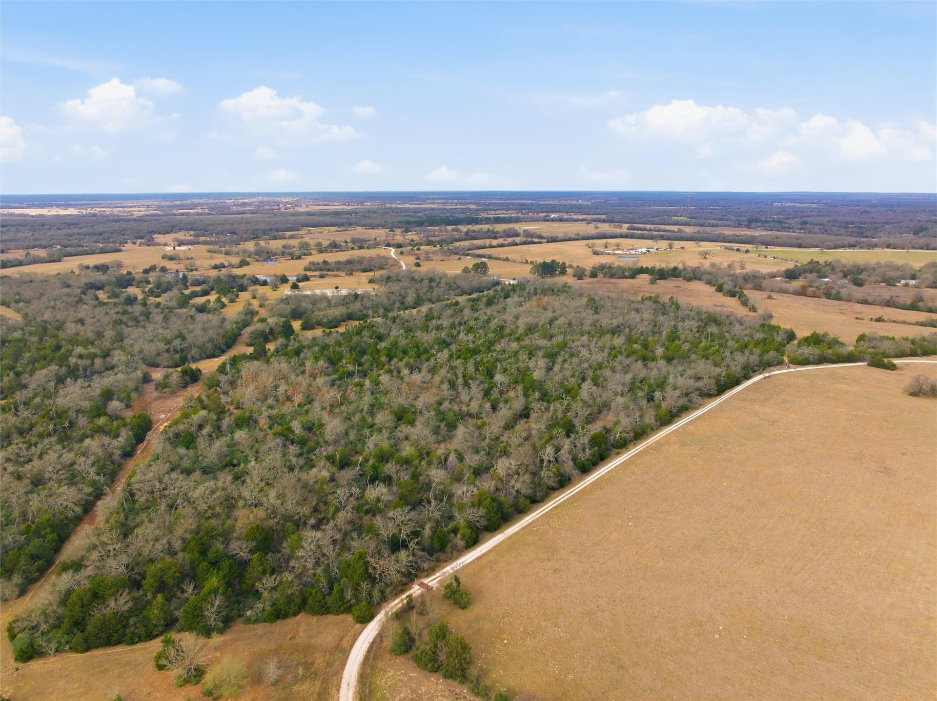 30.19 acres in Limestone County - photo 10