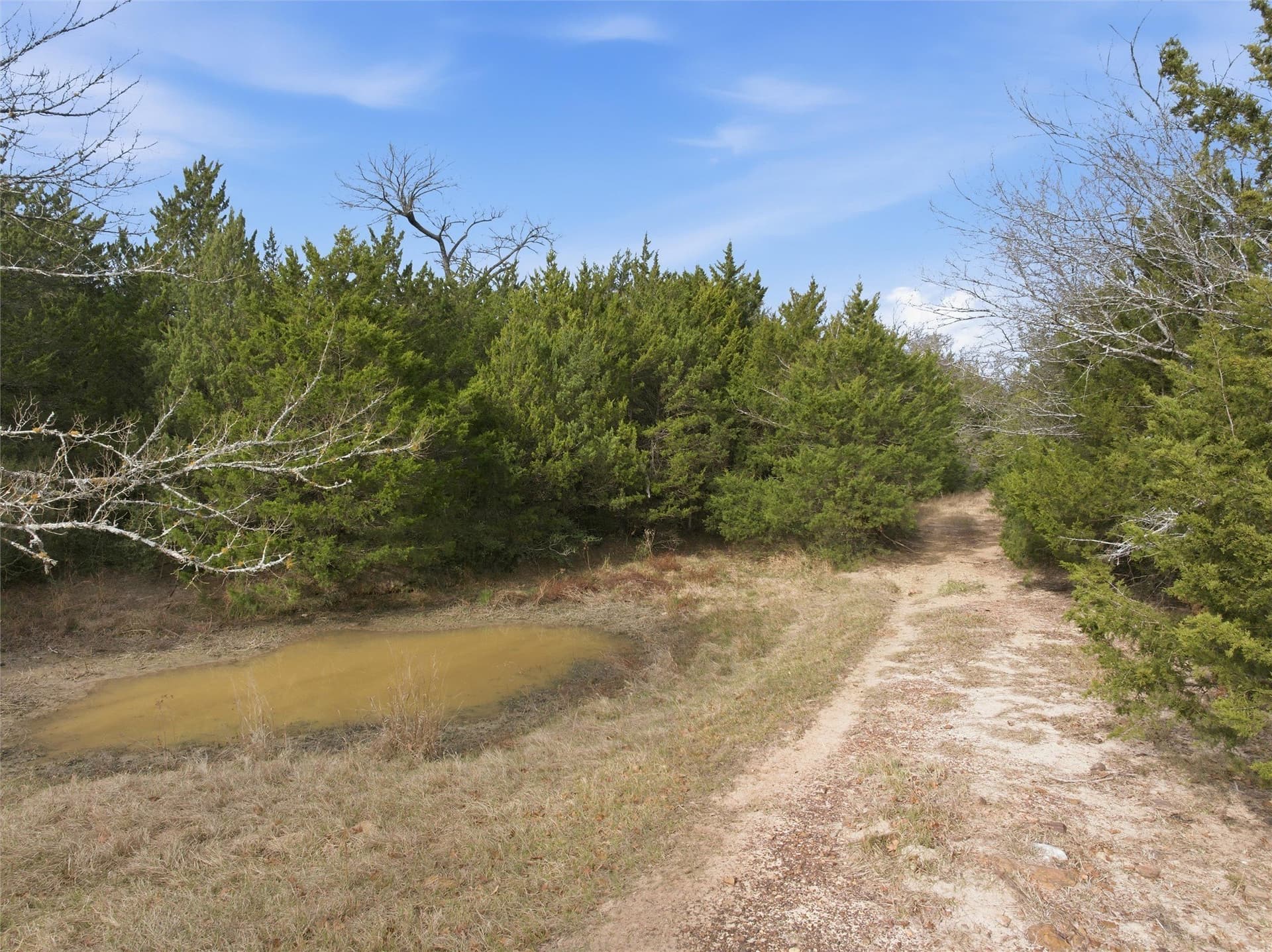 30.19 acres in Limestone County - photo 15