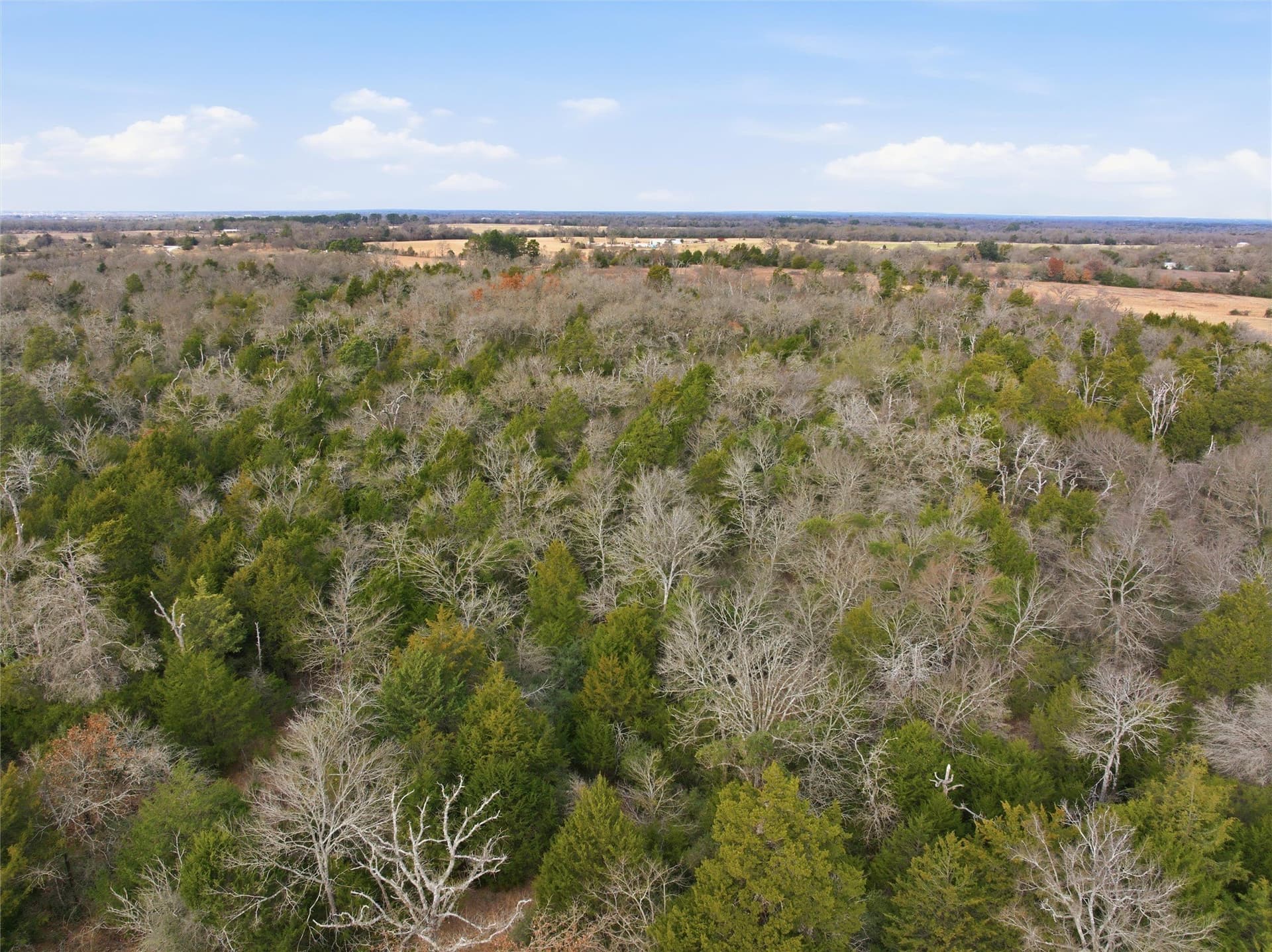 30.19 acres in Limestone County - photo 11