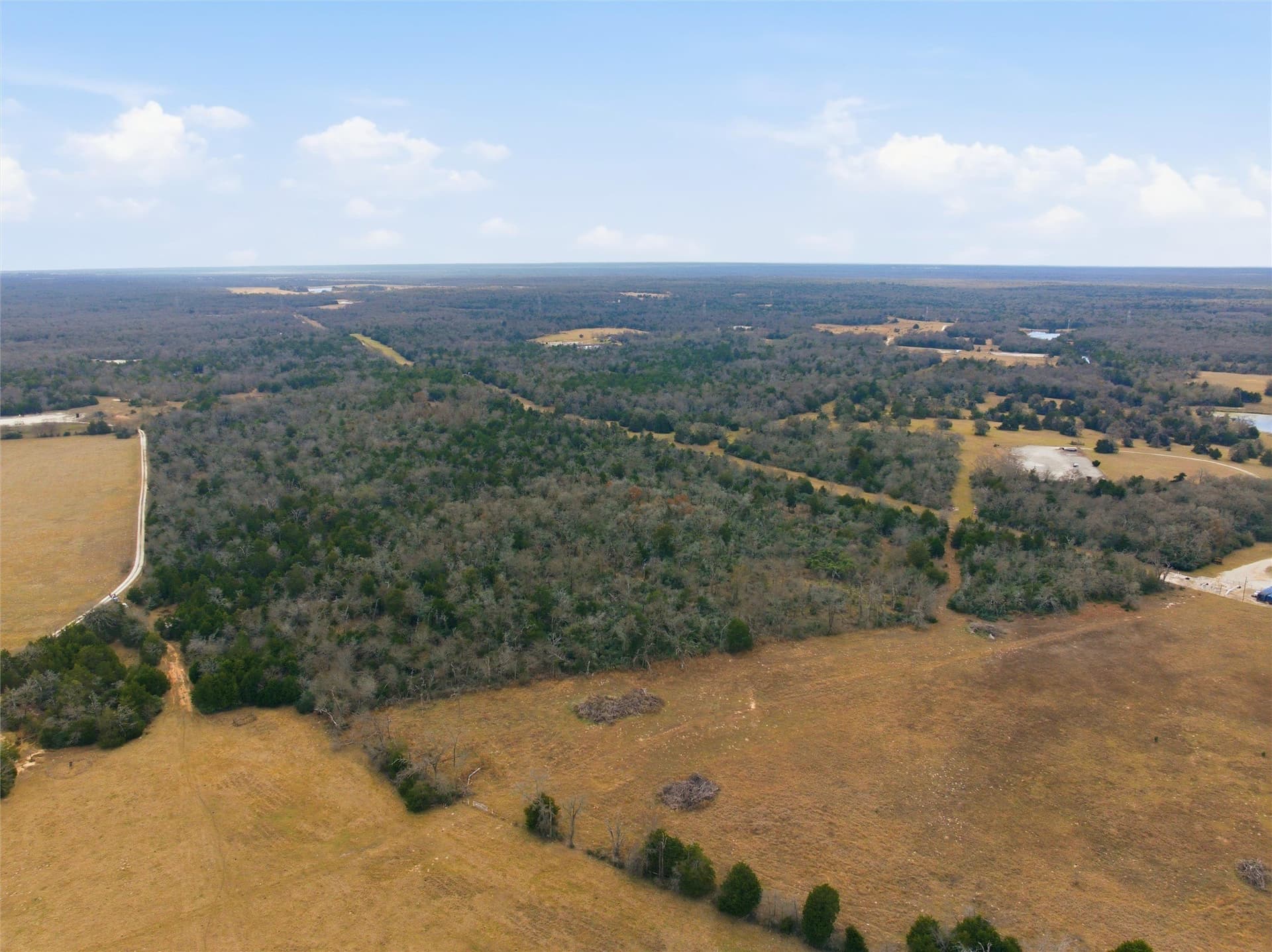 30.19 acres in Limestone County gallery image 4