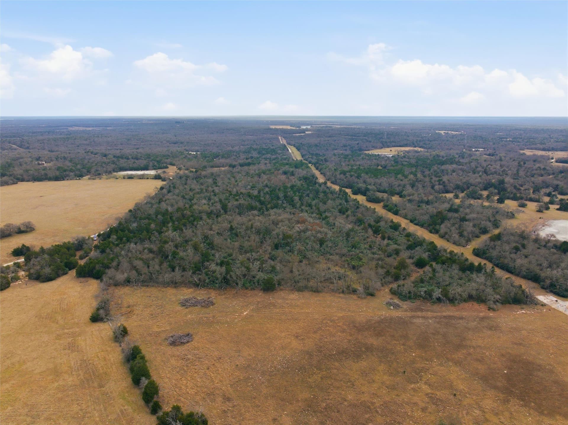 30.19 acres in Limestone County featured view