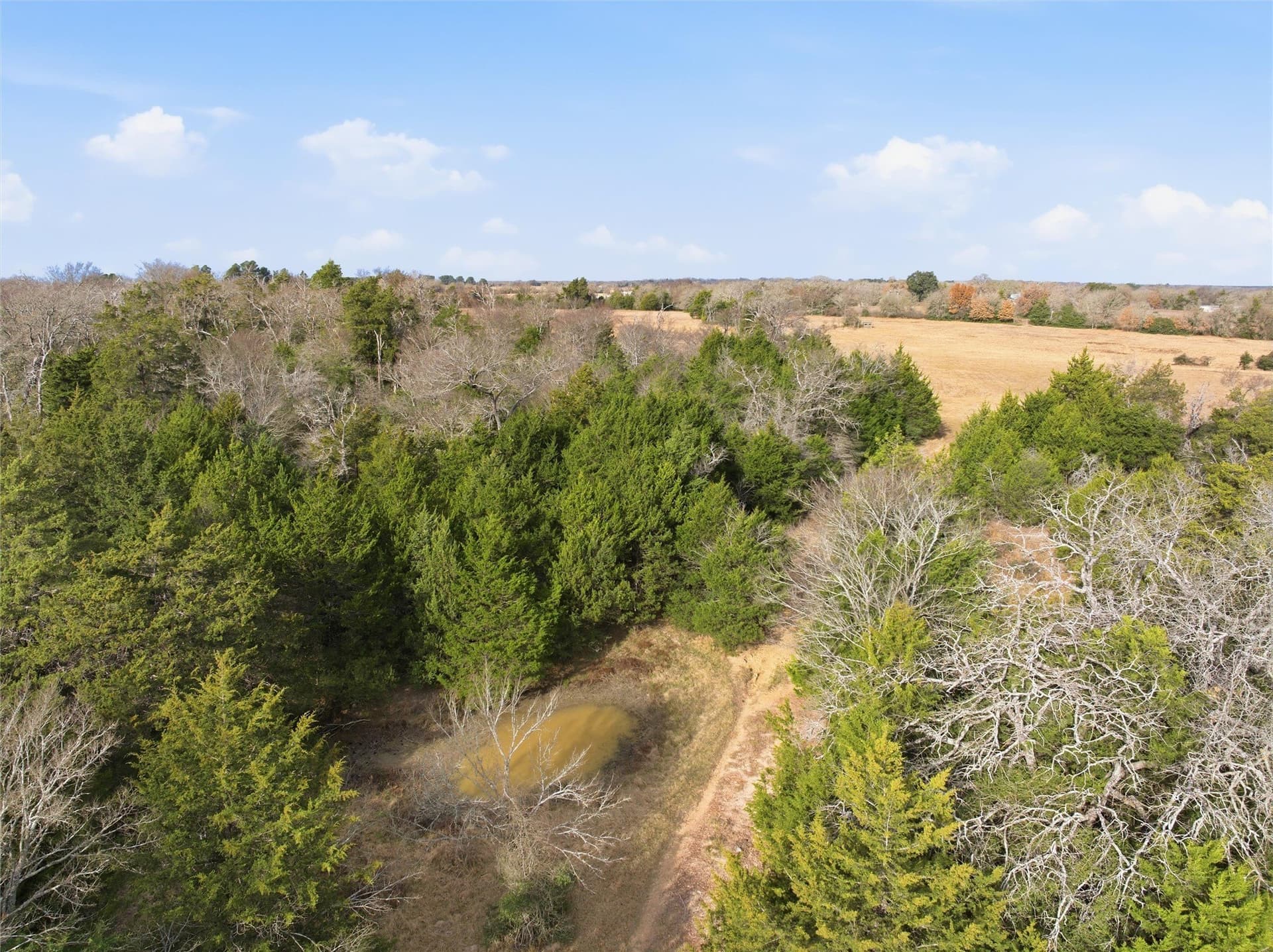 30.19 acres in Limestone County - photo 16