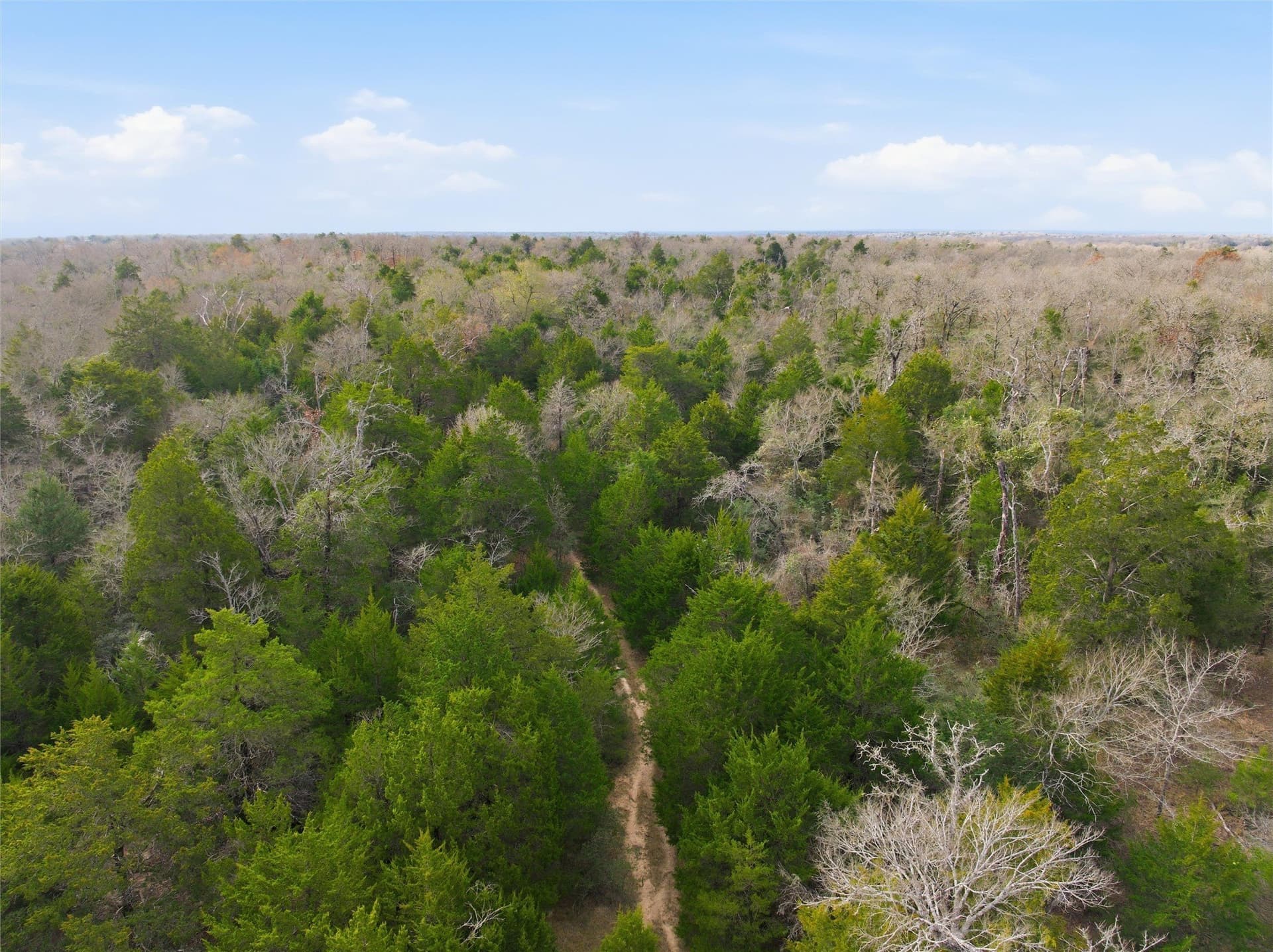 30.19 acres in Limestone County - photo 14