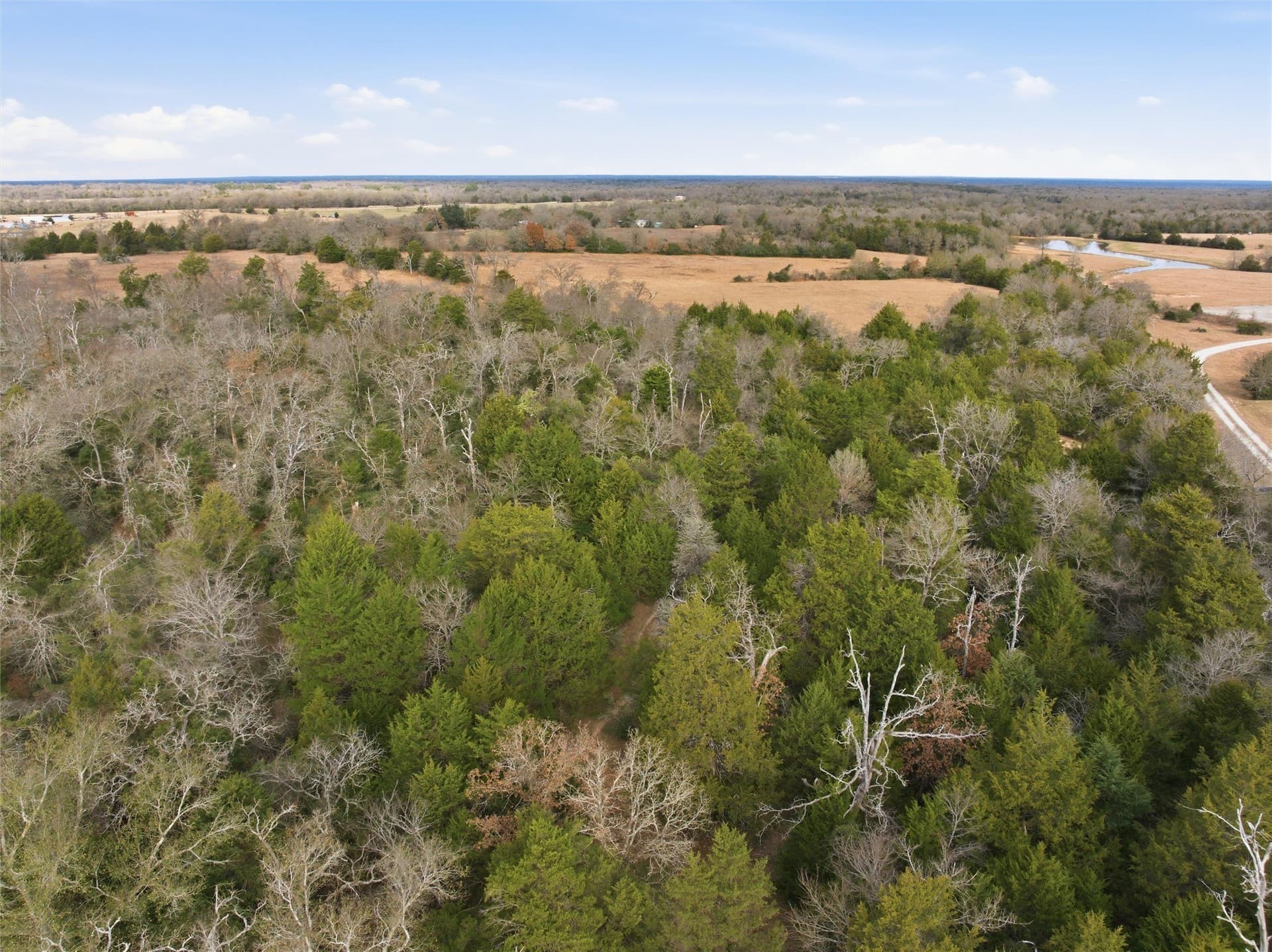 30.19 acres in Limestone County - photo 13