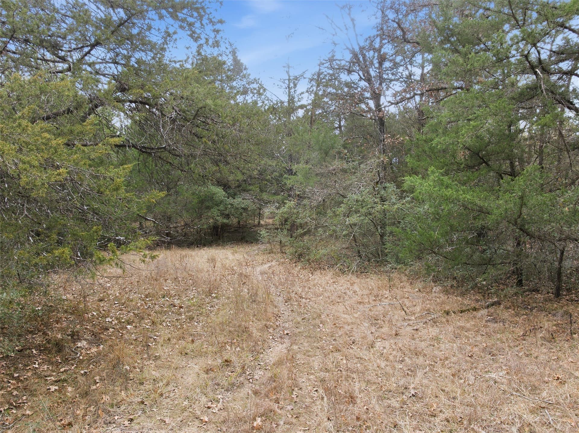 30.19 acres in Limestone County - photo 12