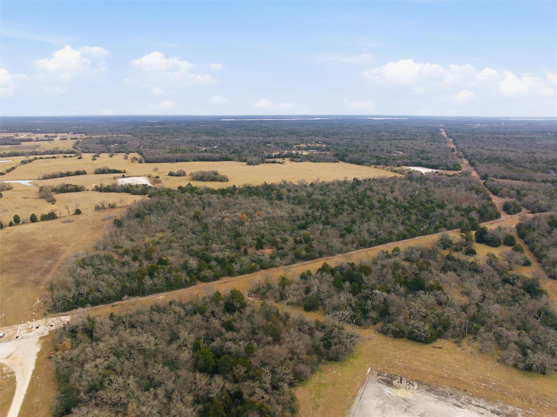 30.19 acres in Limestone County - photo 7