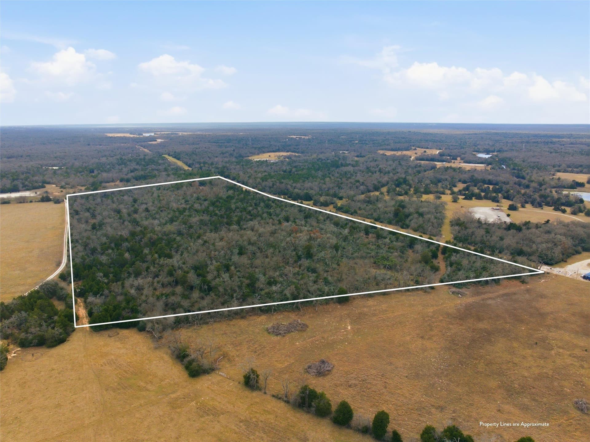 30.19 acres in Limestone County gallery image 2