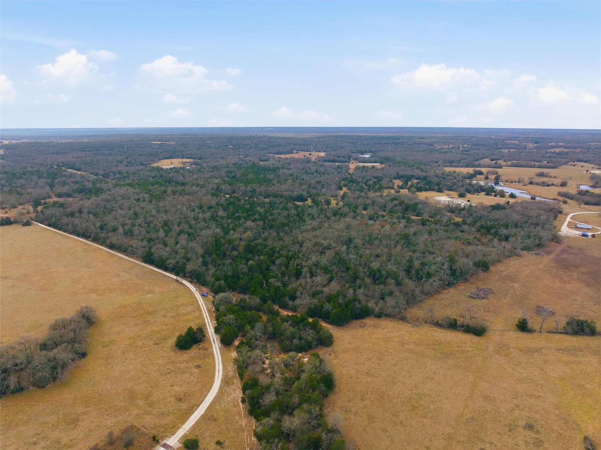 30.19 acres in Limestone County gallery image 3