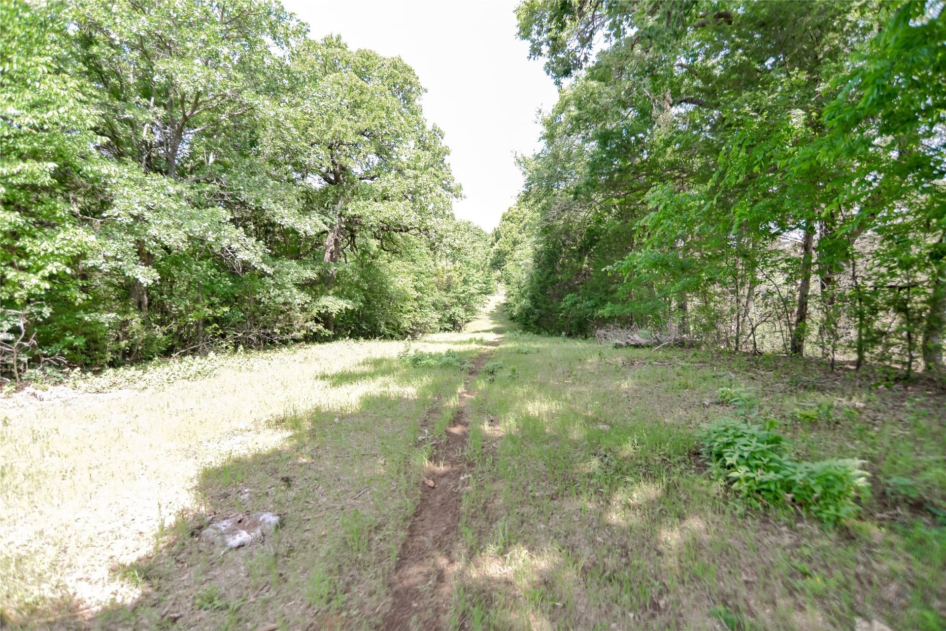 20.61 acres in Grayson County - photo 7