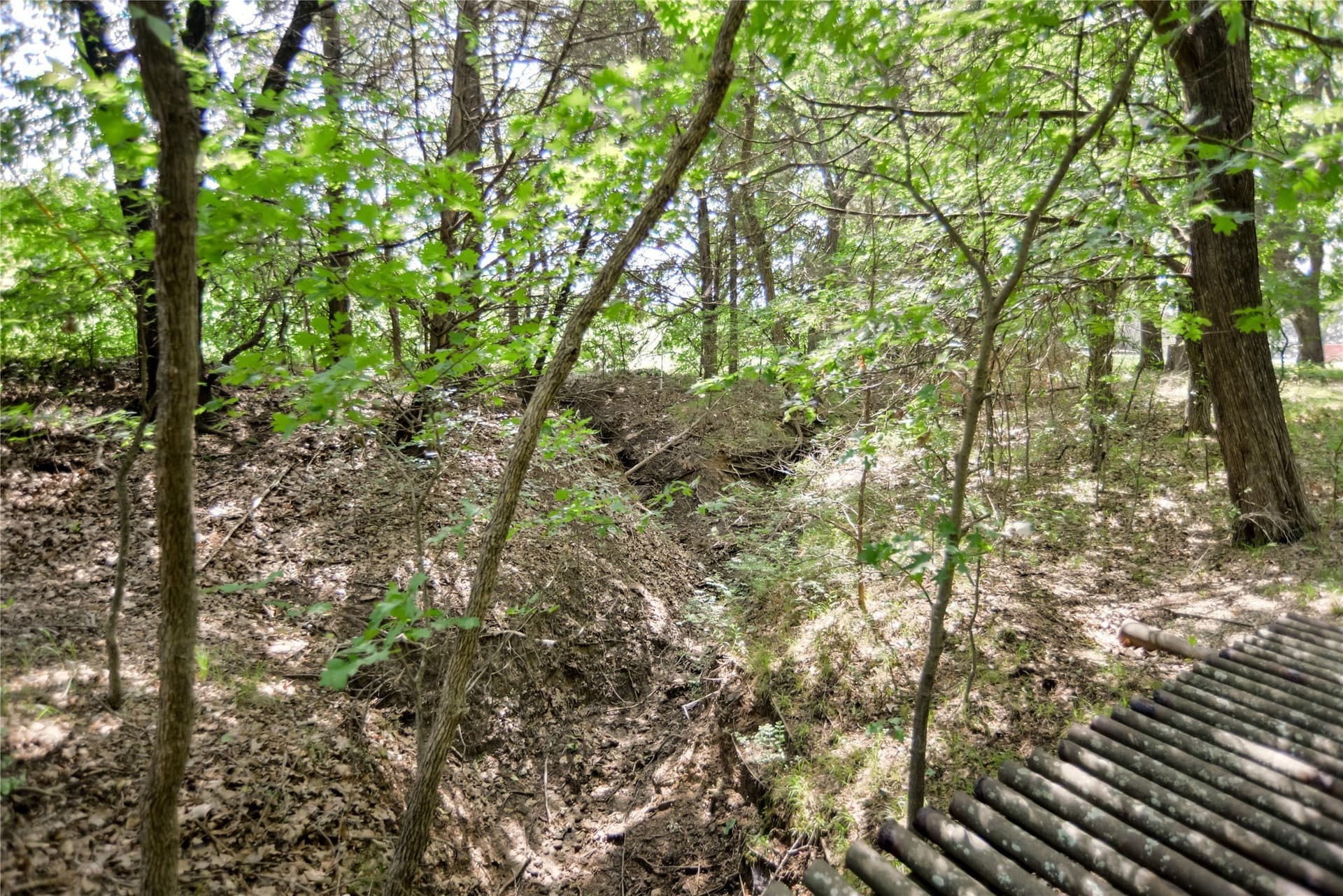 20.61 acres in Grayson County - photo 8