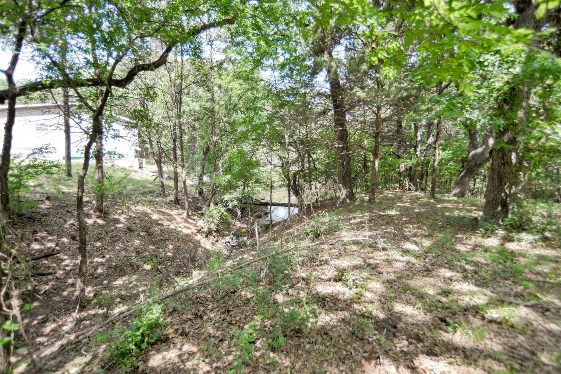 20.61 acres in Grayson County - photo 9